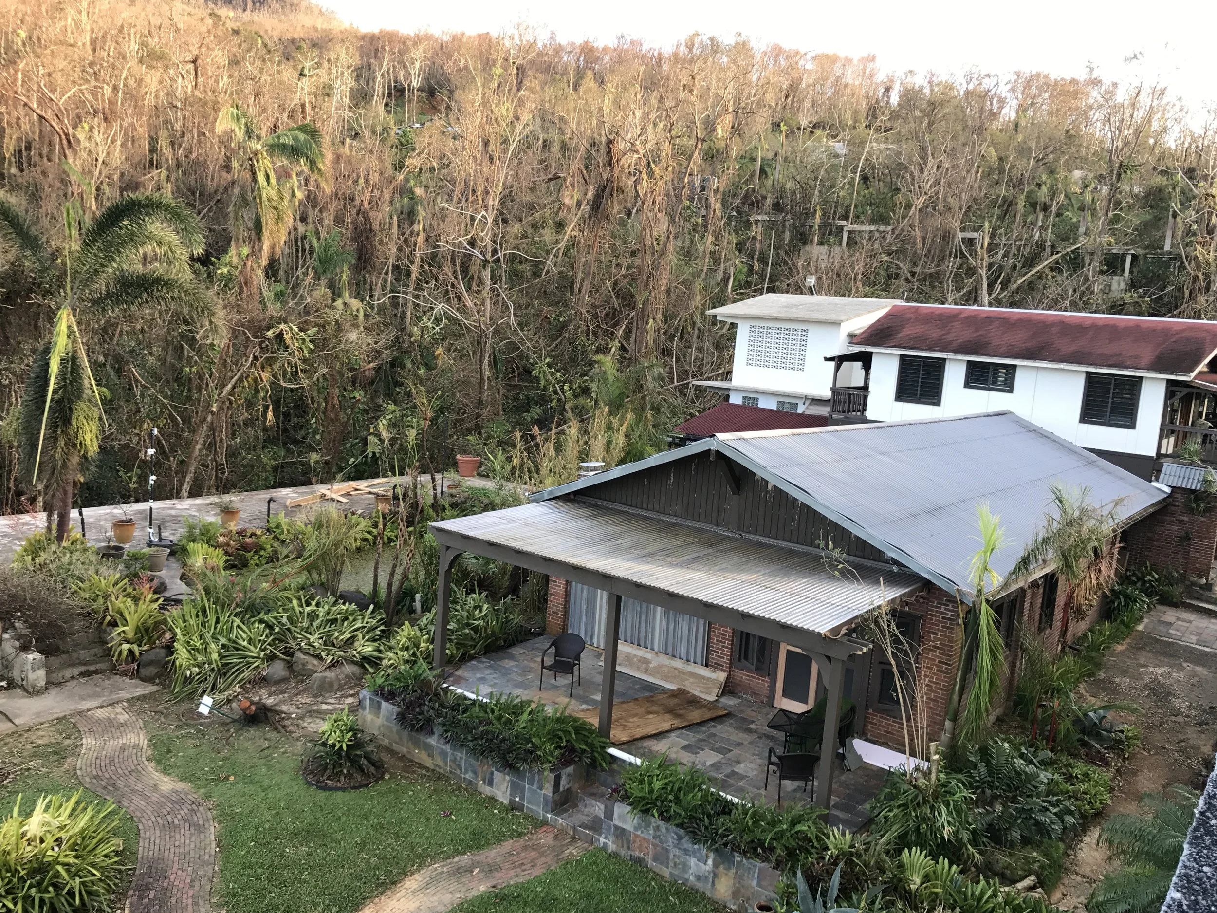 Surviving Hurricane Maria