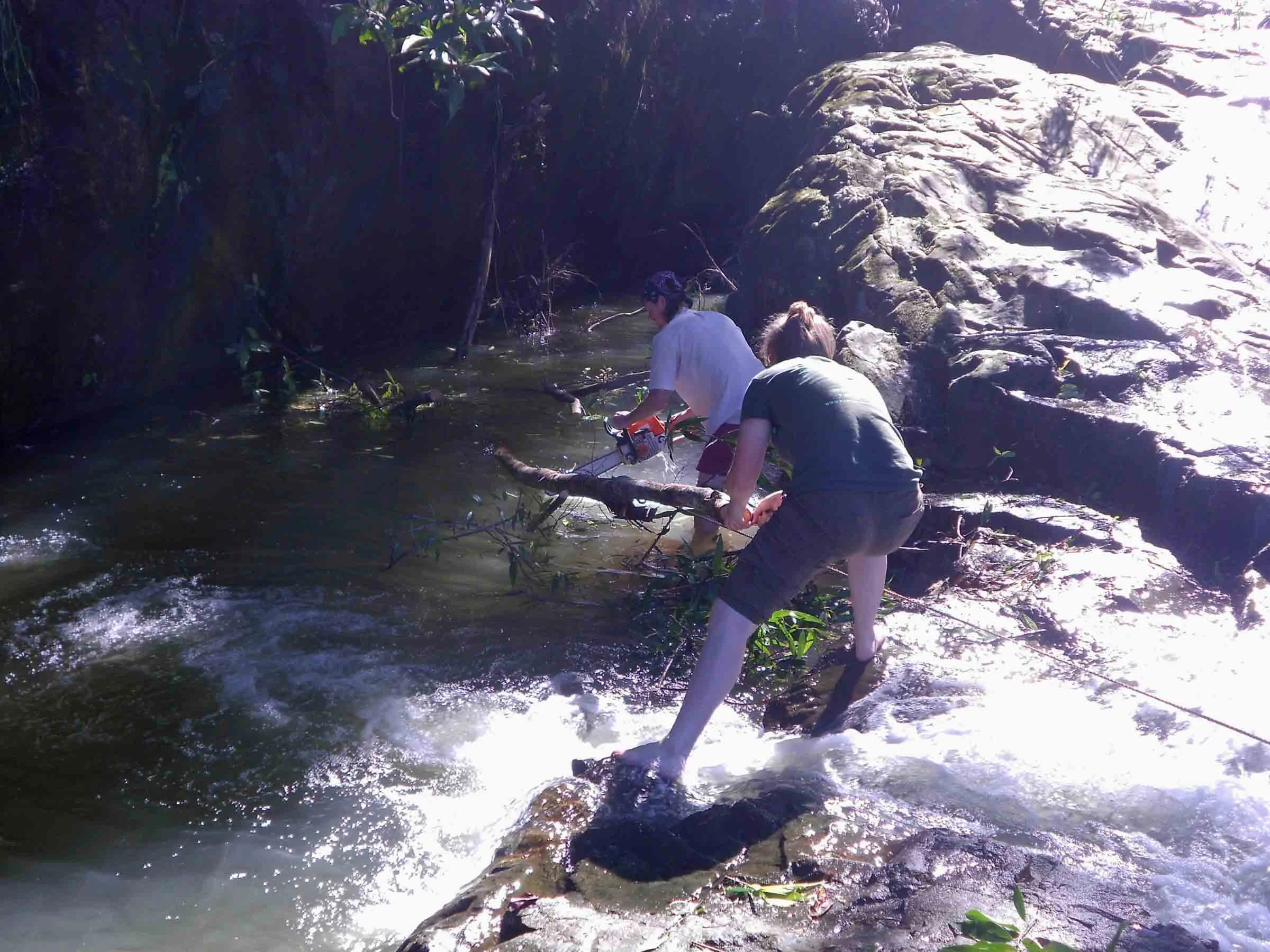 Pulling branches out of the swimming hole. Joe had to chain saw them free