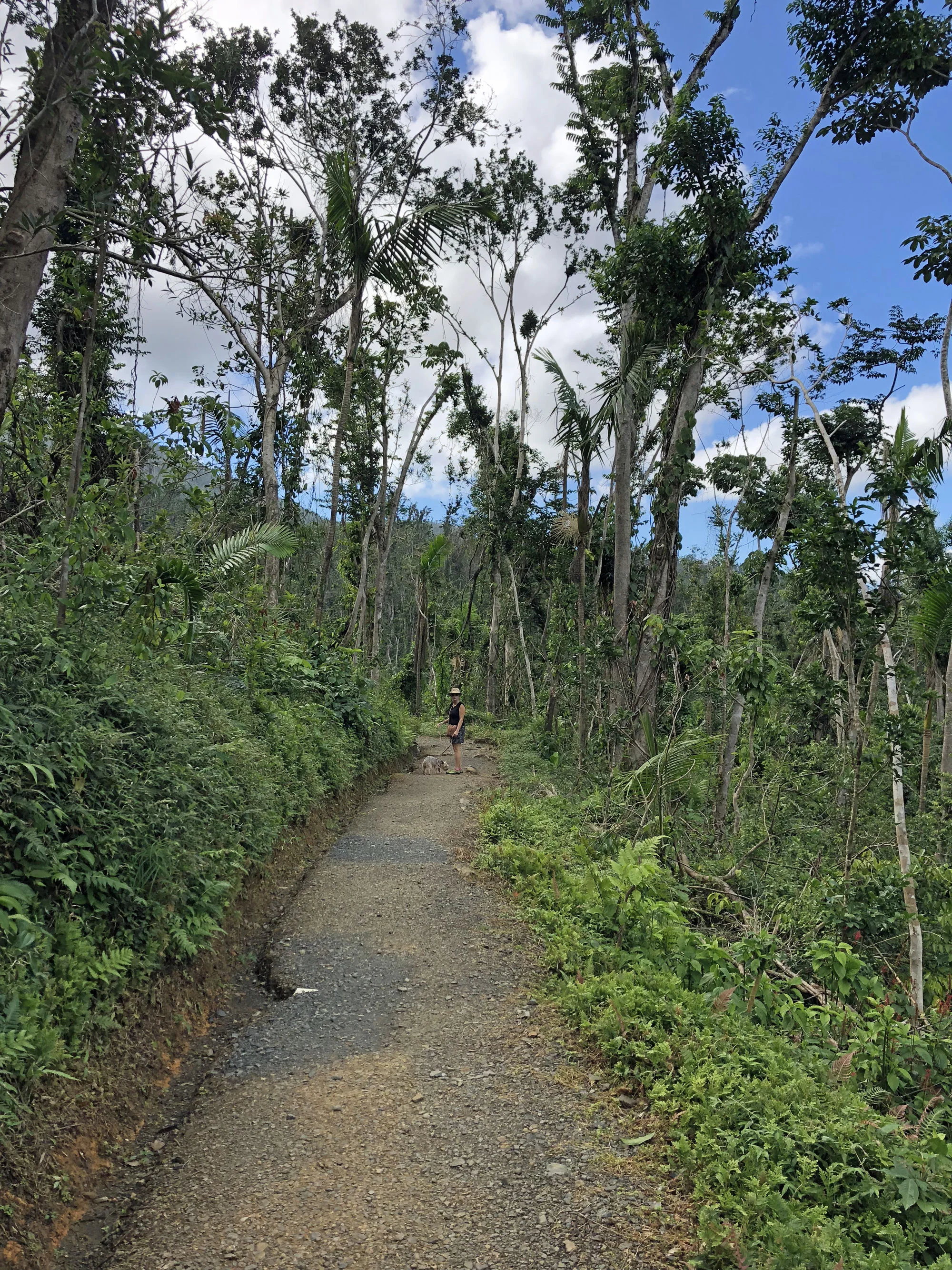 You can see how easy the trail is. It is very wide and smooth.