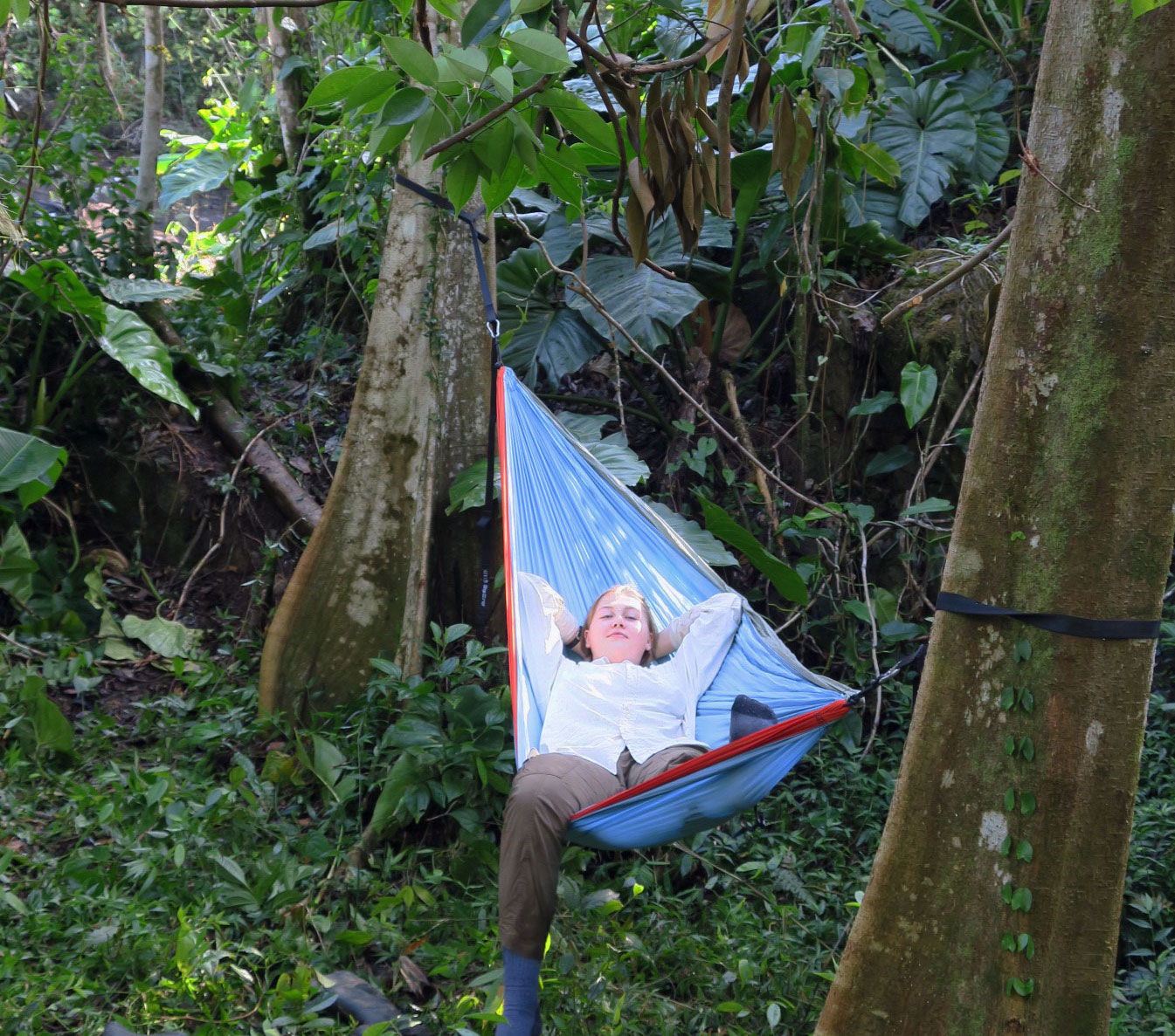Relaxing on the Rainforest Inn’s “Lost Machete” Trail. We furnish hammocks (just ask).