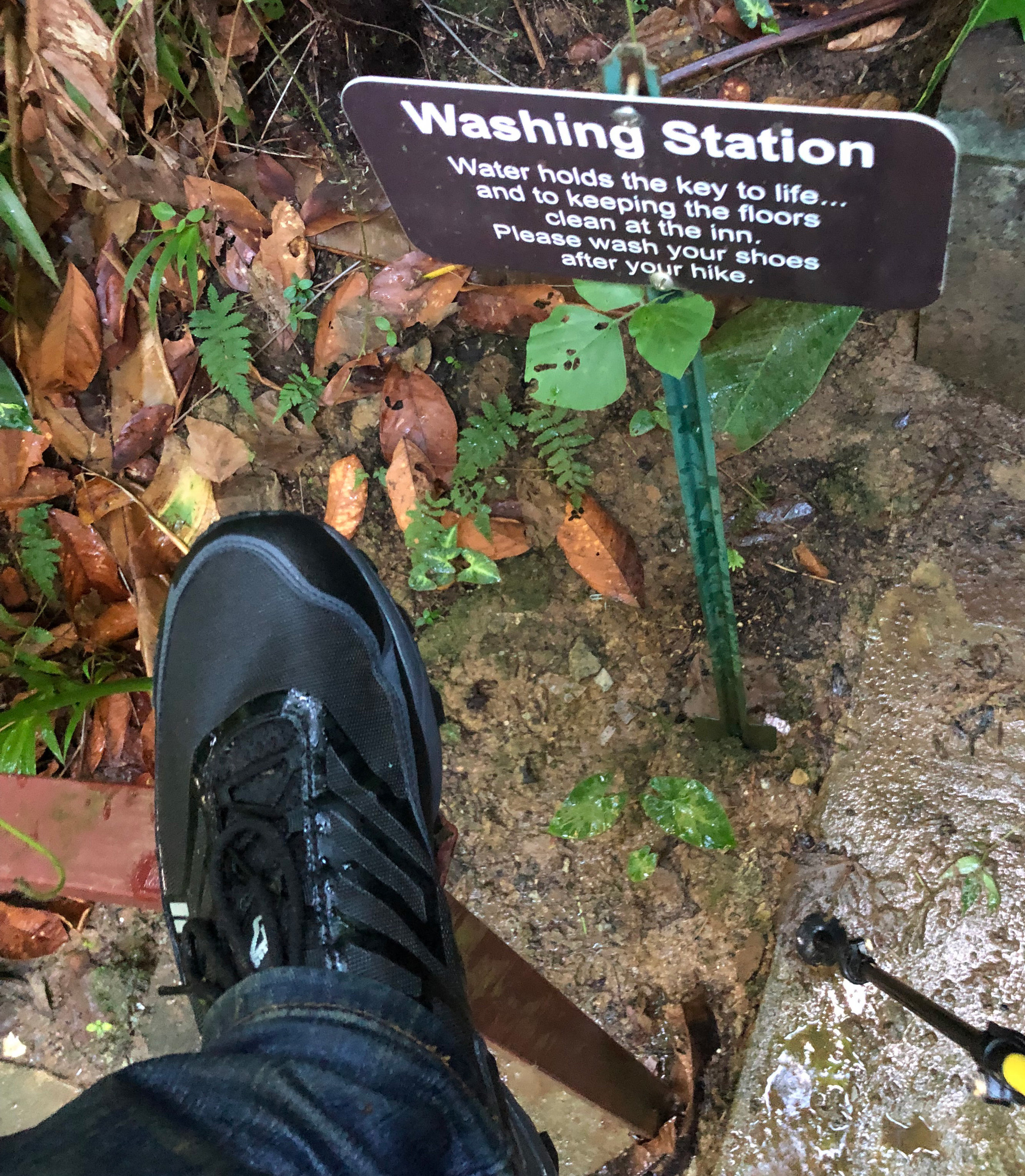 best hiking boots for rainforest