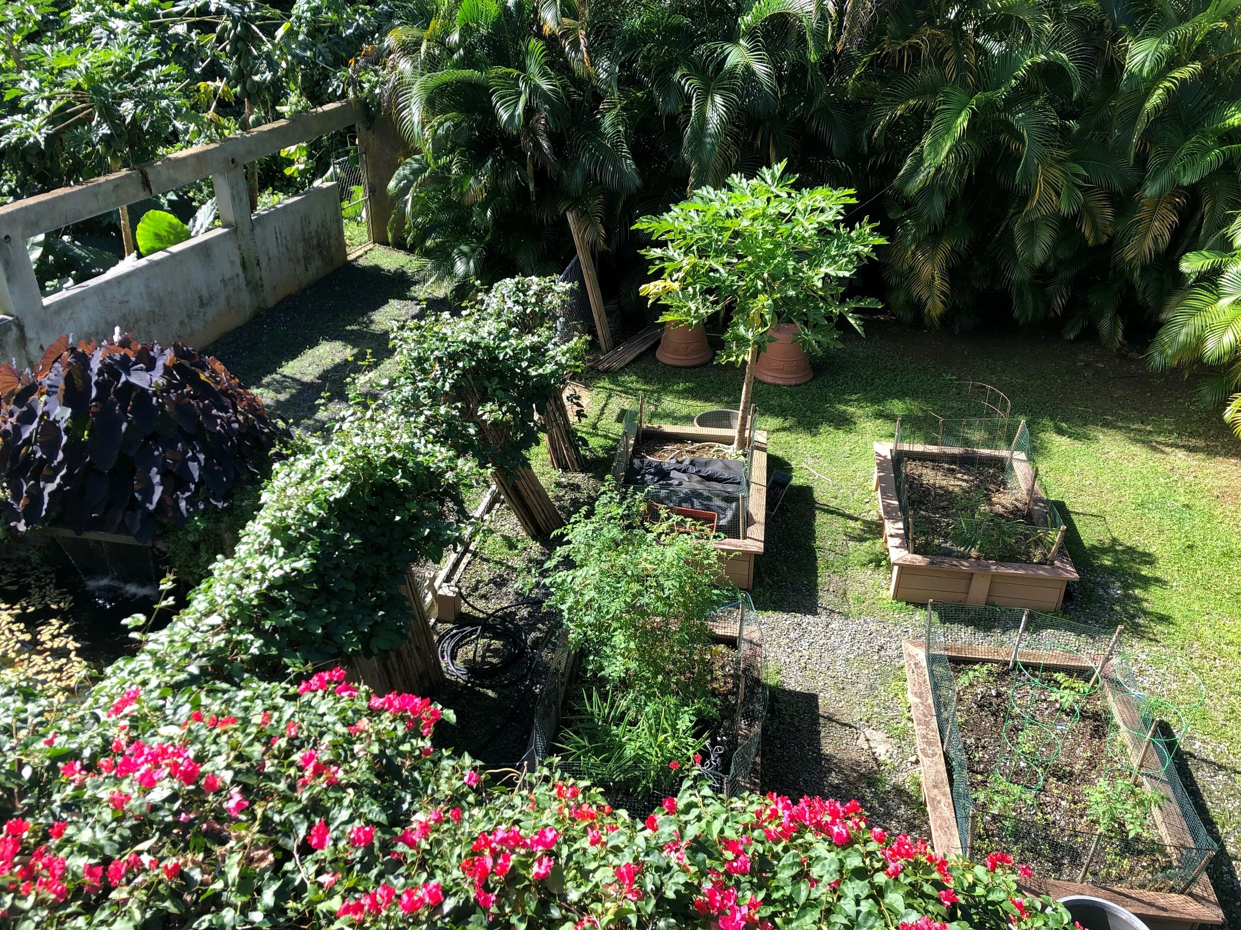 Taste of the Rainforest