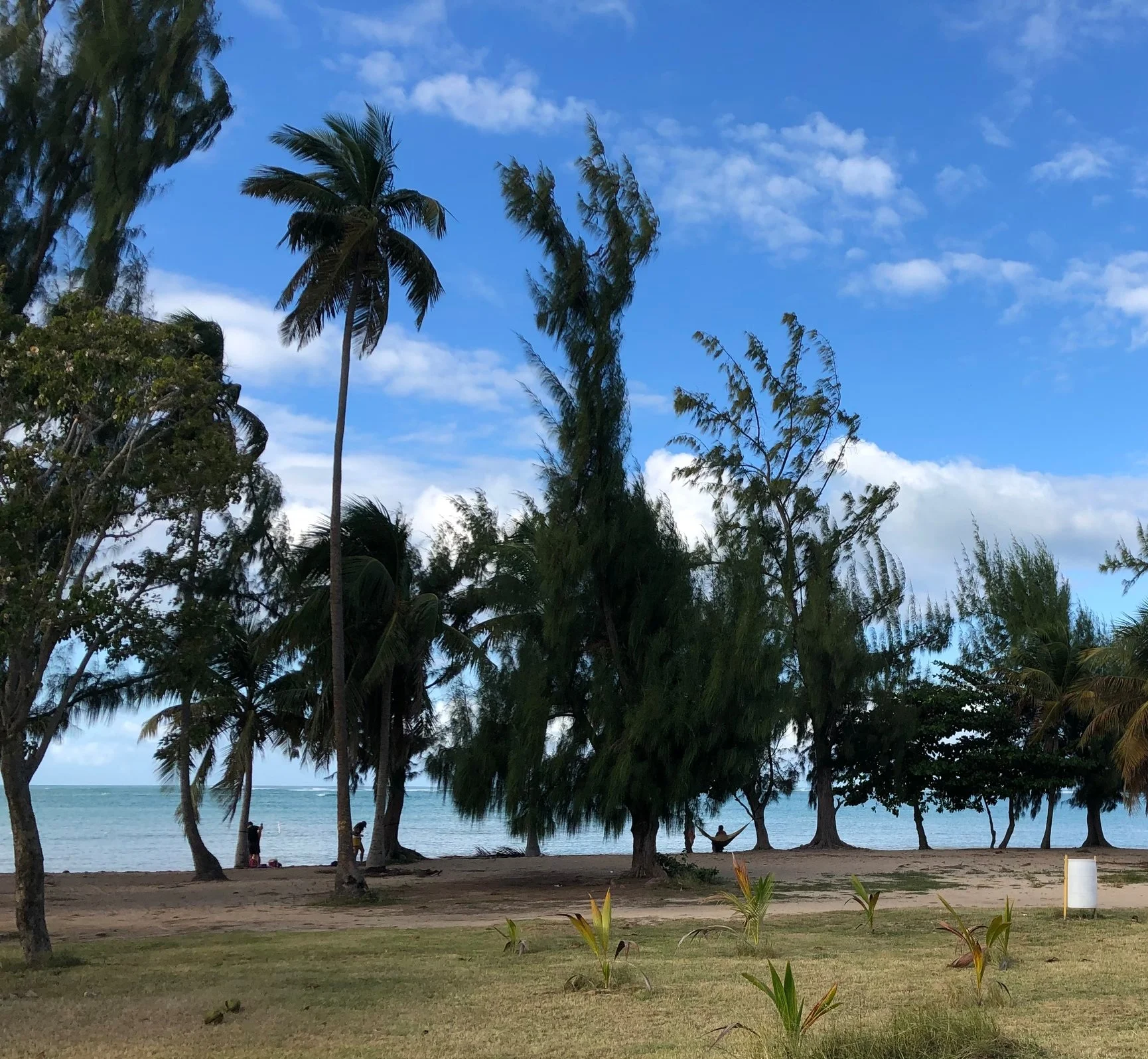 This is Seven Seas Beach; check out all those spots to hang a hammock!