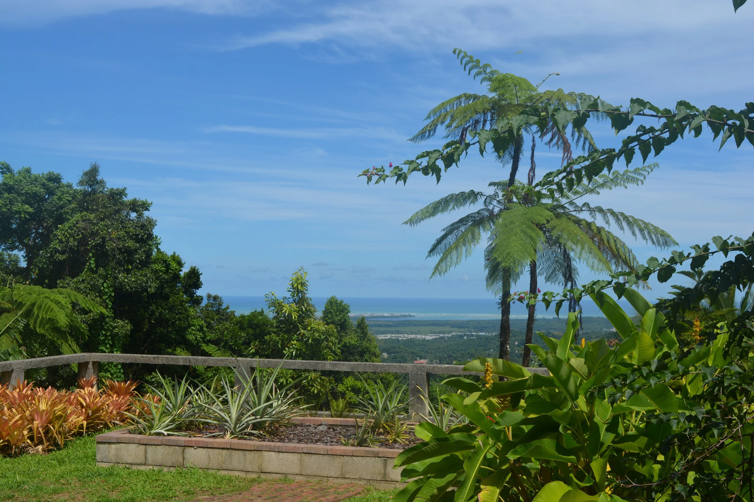 north+view.jpg