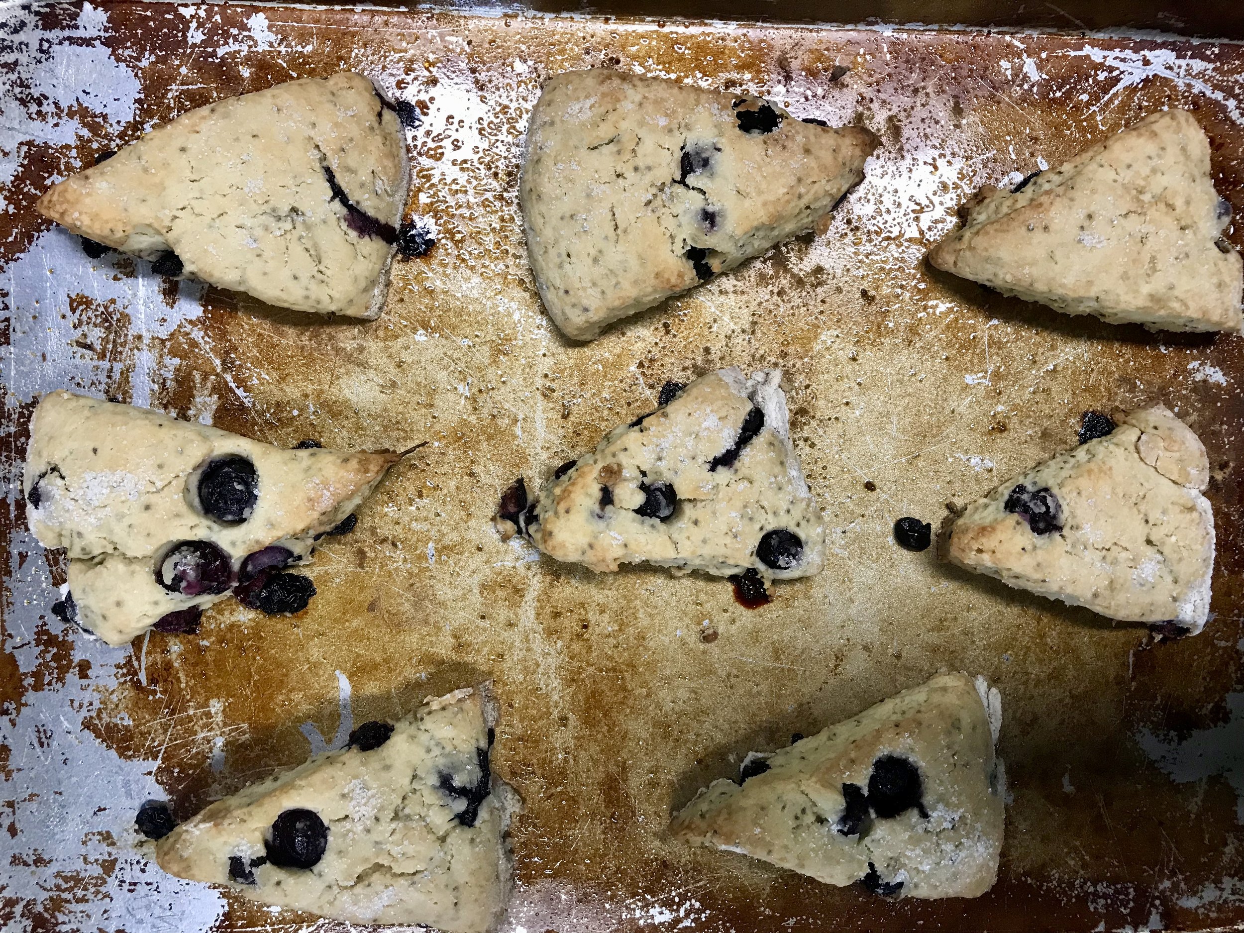 Fresh out of the oven!