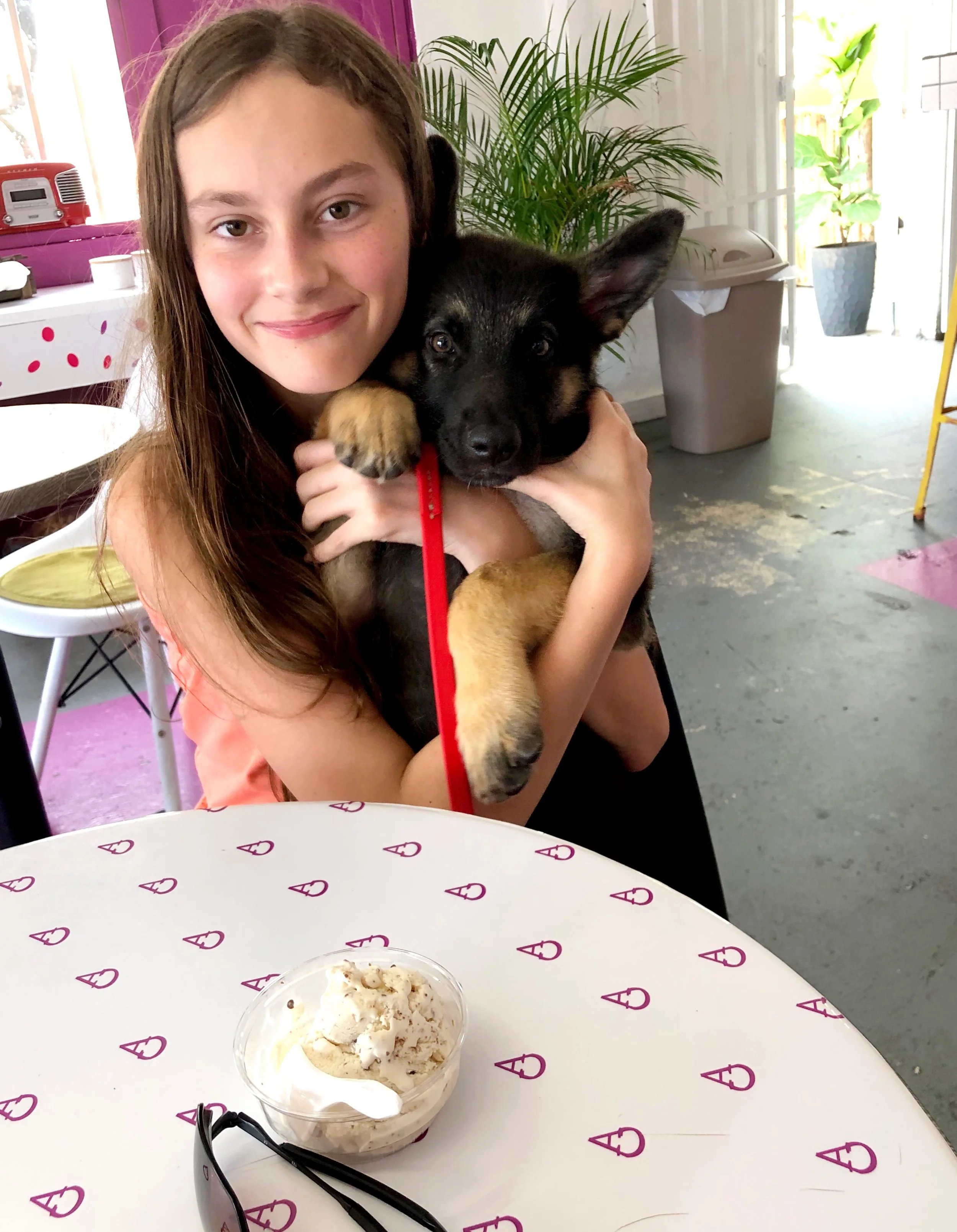 Bill and Renée’s grandaughter enjoying some artisanal ice cream at Peccas. Livy their new german shepherd puppy had a taste too!
