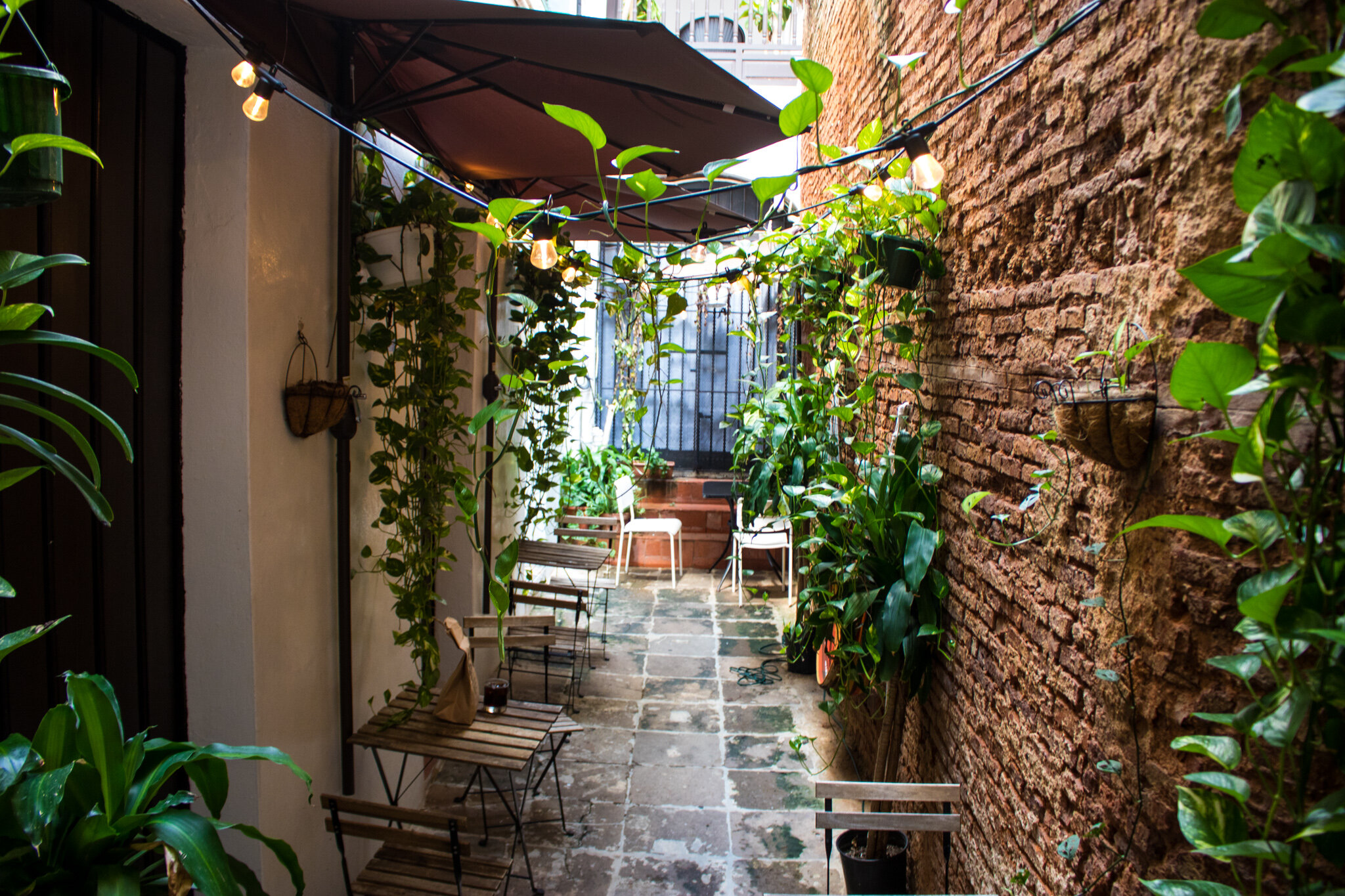  Filtrado’s outdoor courtyard where people can enjoy their coffee. 