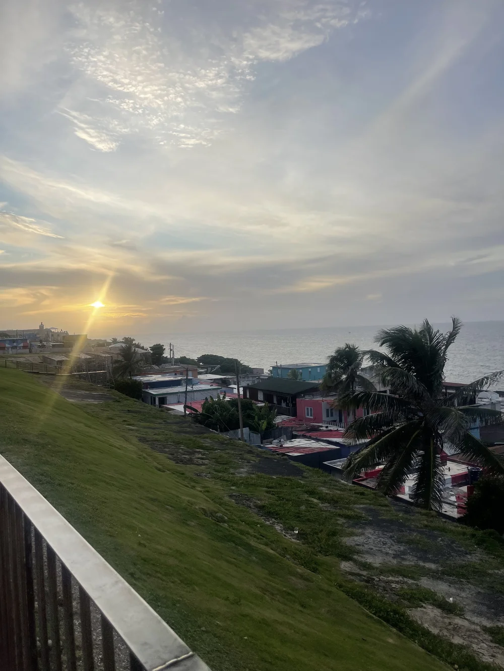 IMG_3858.jpeg