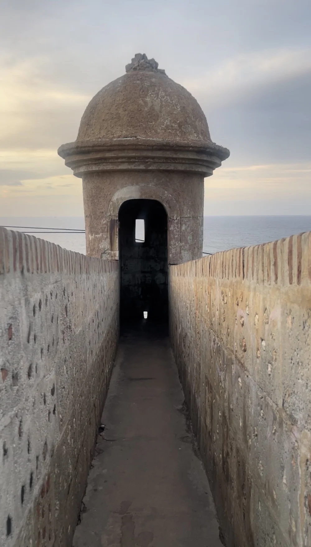 IMG_4945.jpeg