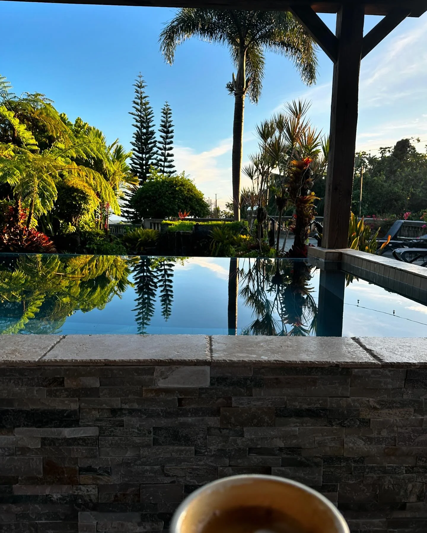 Our Bat Homes — Rainforest Inn Boutique Bed and Breakfast