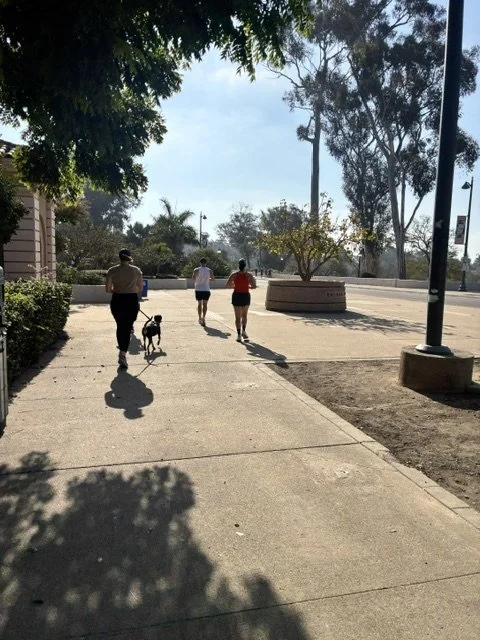 Maple Canyon Run Club  