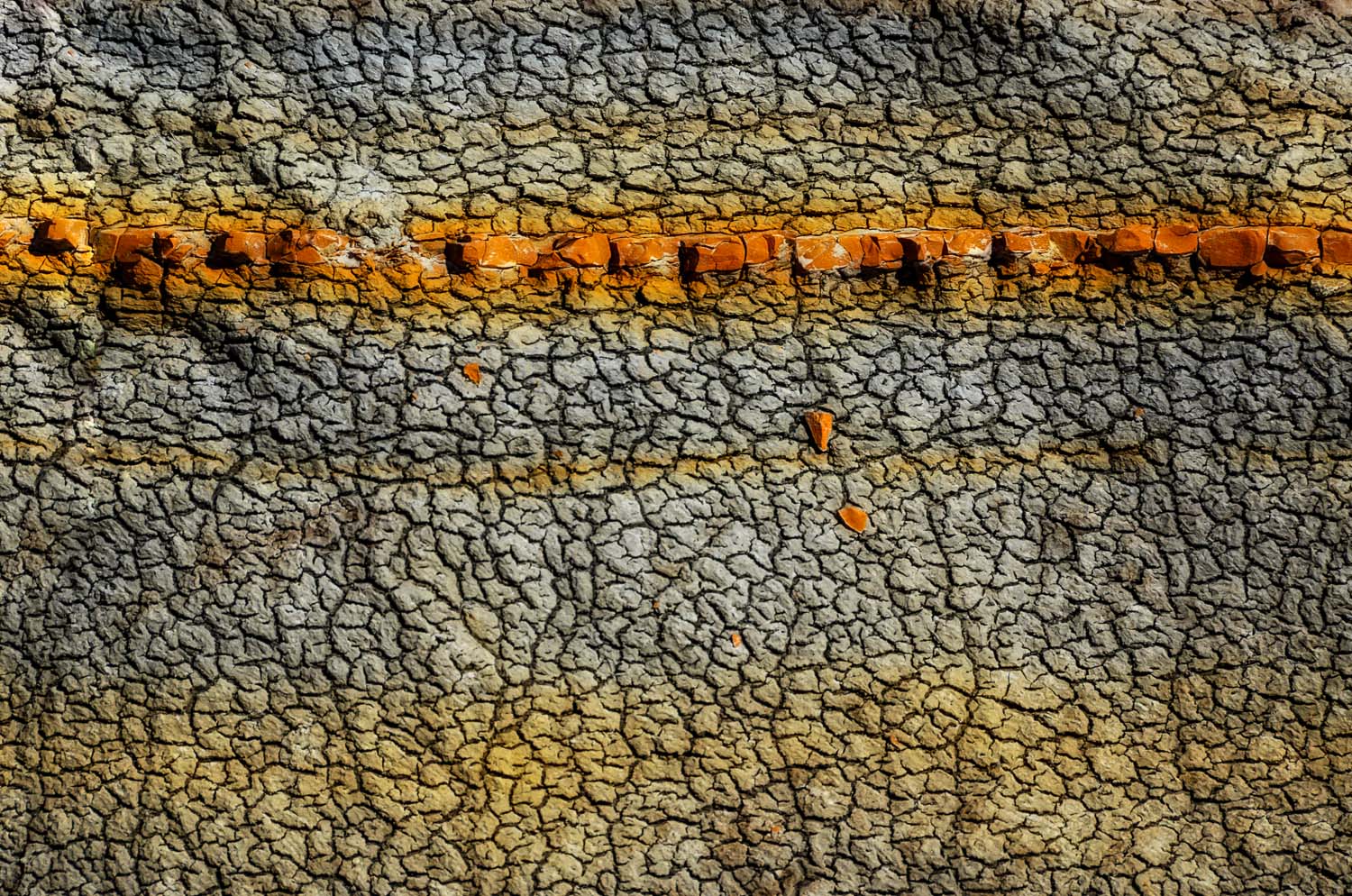 Wall<br>Theodore Roosevelt NP