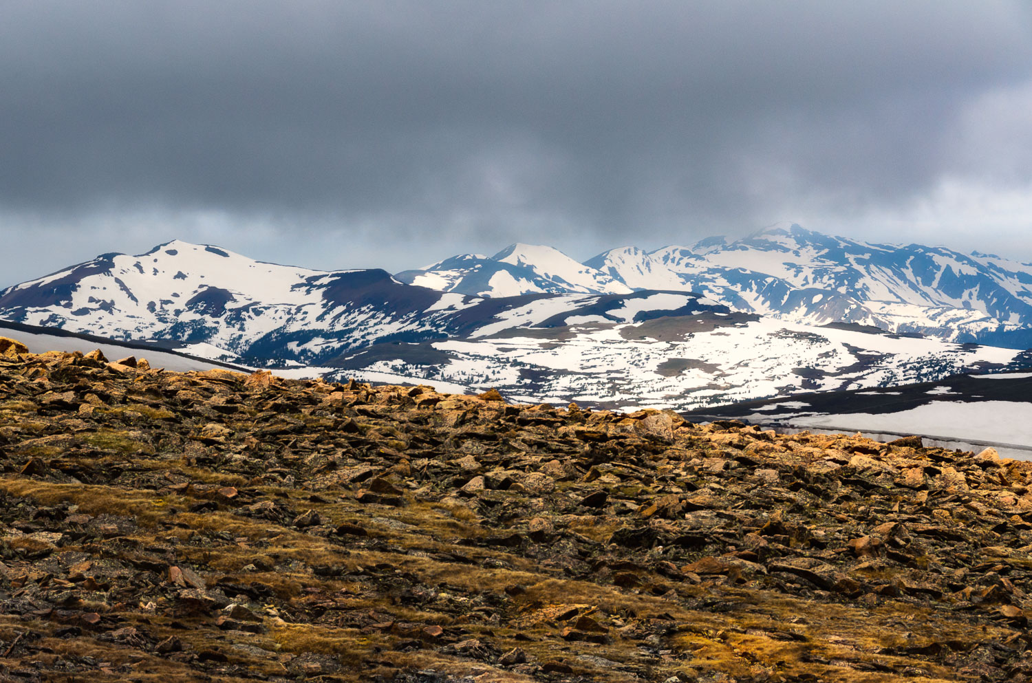 Rock Cut<br>Rocky Mountain NP