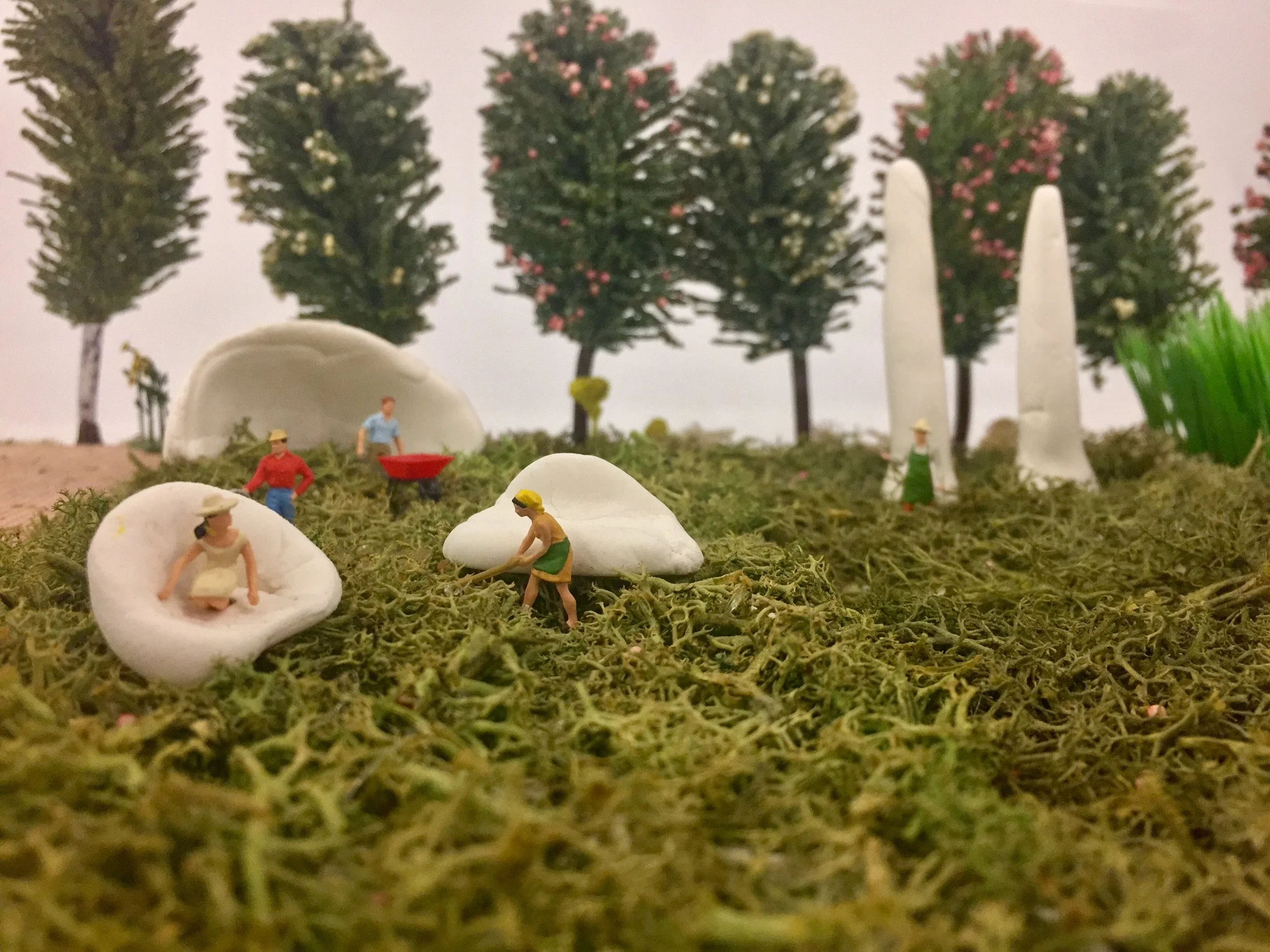 Mycelium Installation