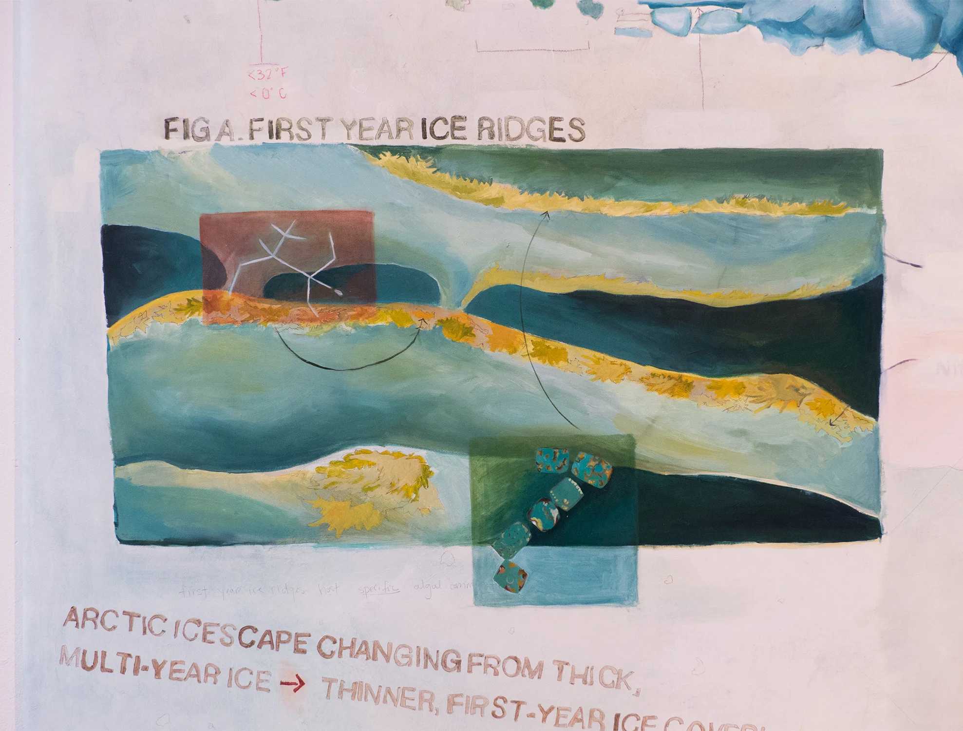 Sea Ice Algal Communities, Detail