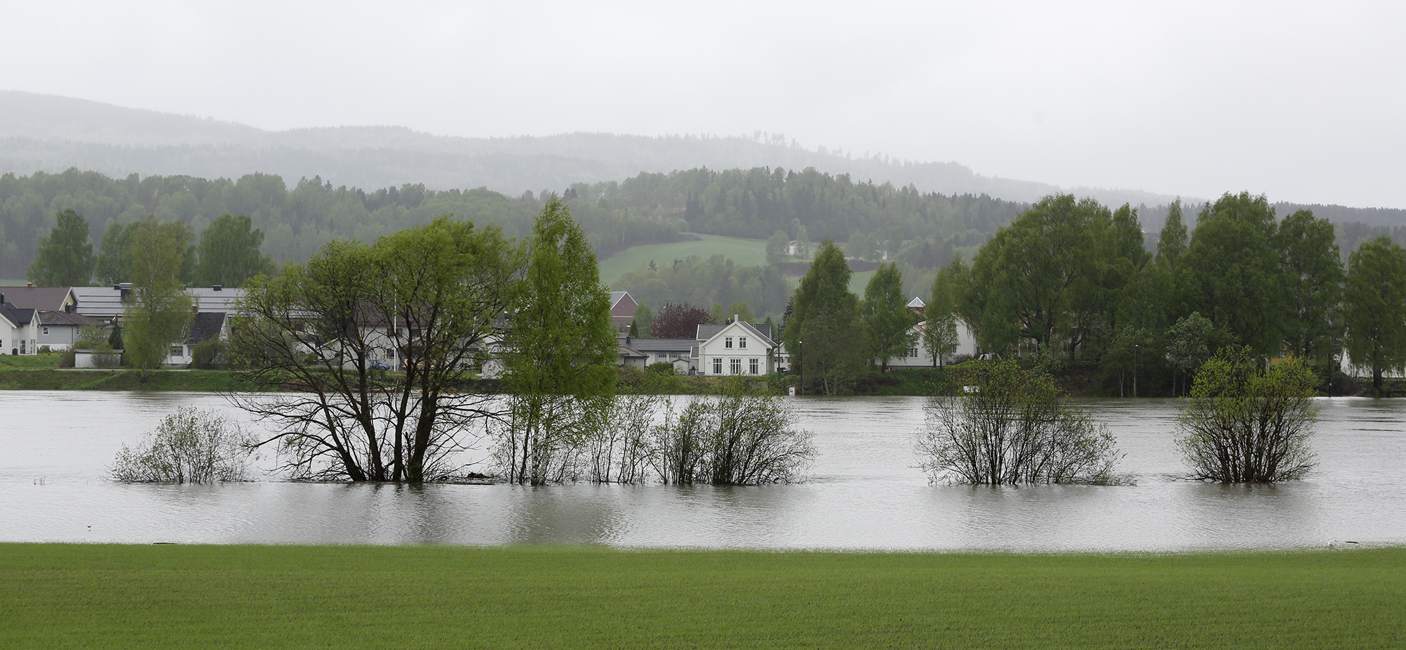 Drammenselva i flom, vest for Krokstadelva