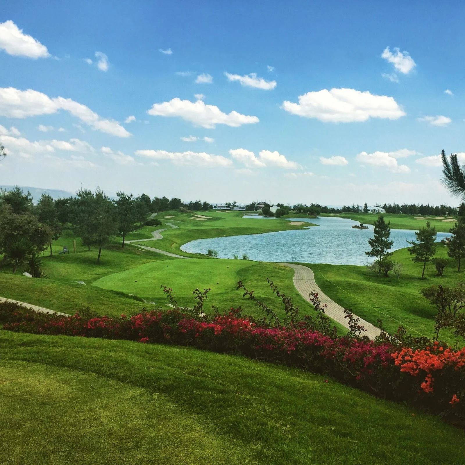 The 18th hole at El Bosque, a risk reward par 5.