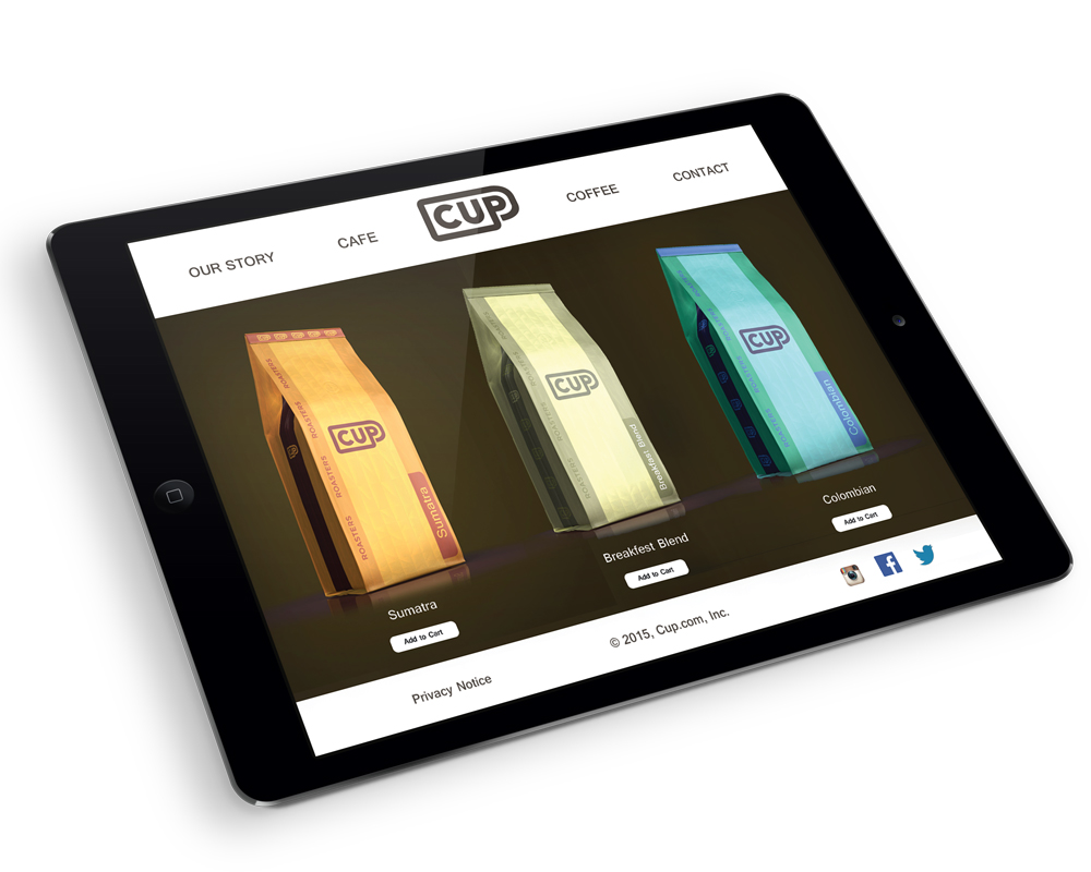 iPad bag website 1000x800 72 dpi.jpg