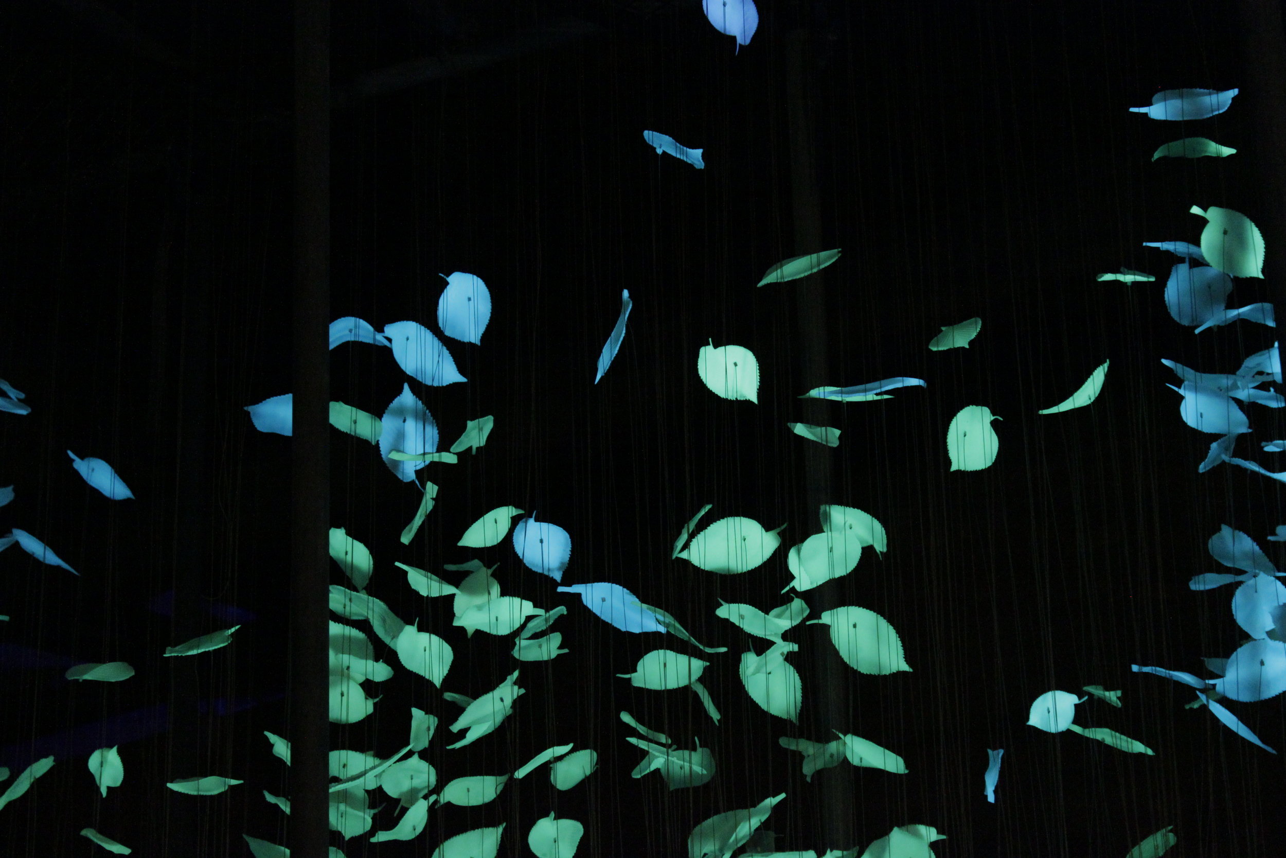 credit photo: Masha Jahangard