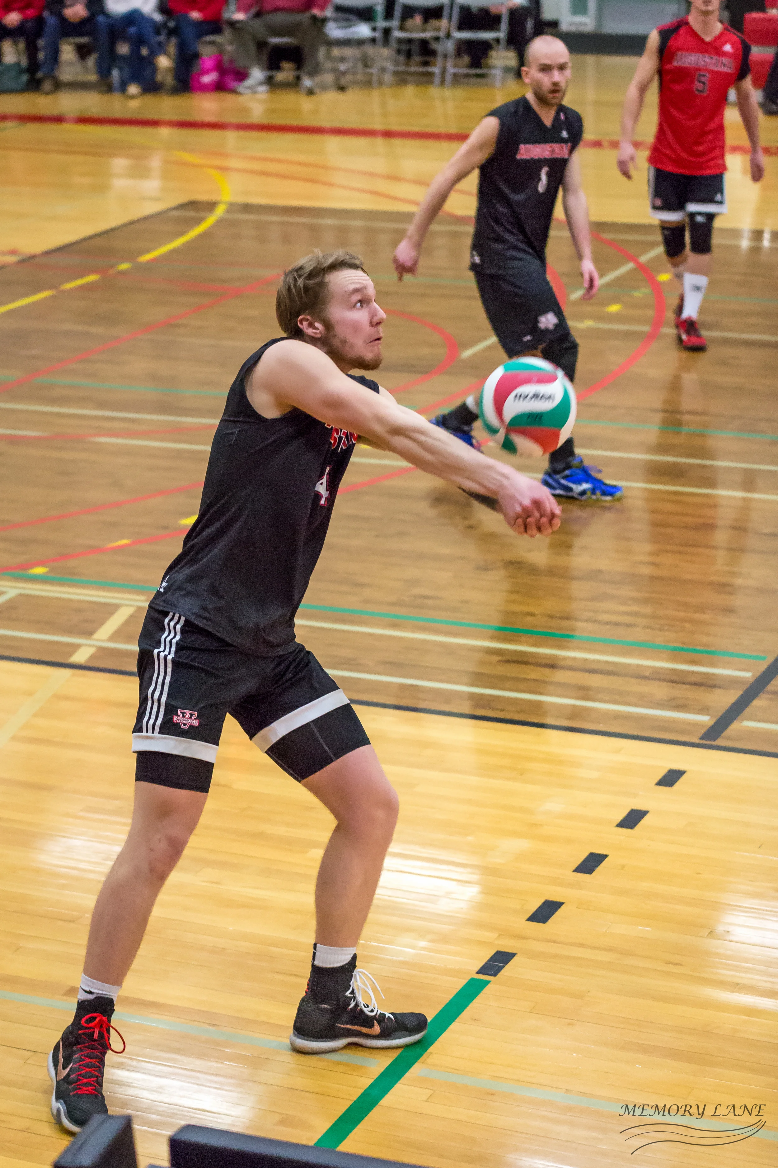 Lane Anderson V-Ball-19.jpg