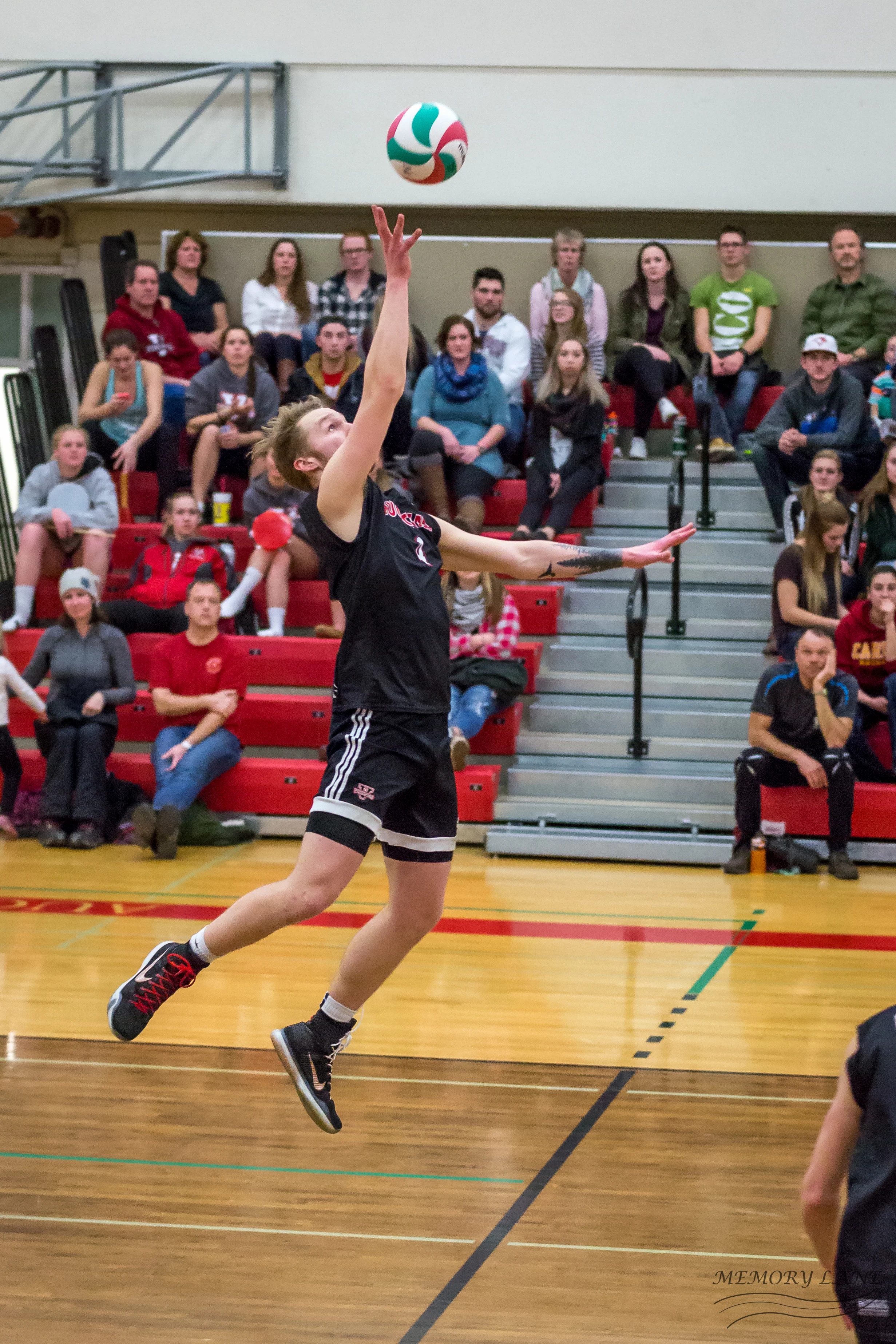 Lane Anderson V-Ball-20.jpg