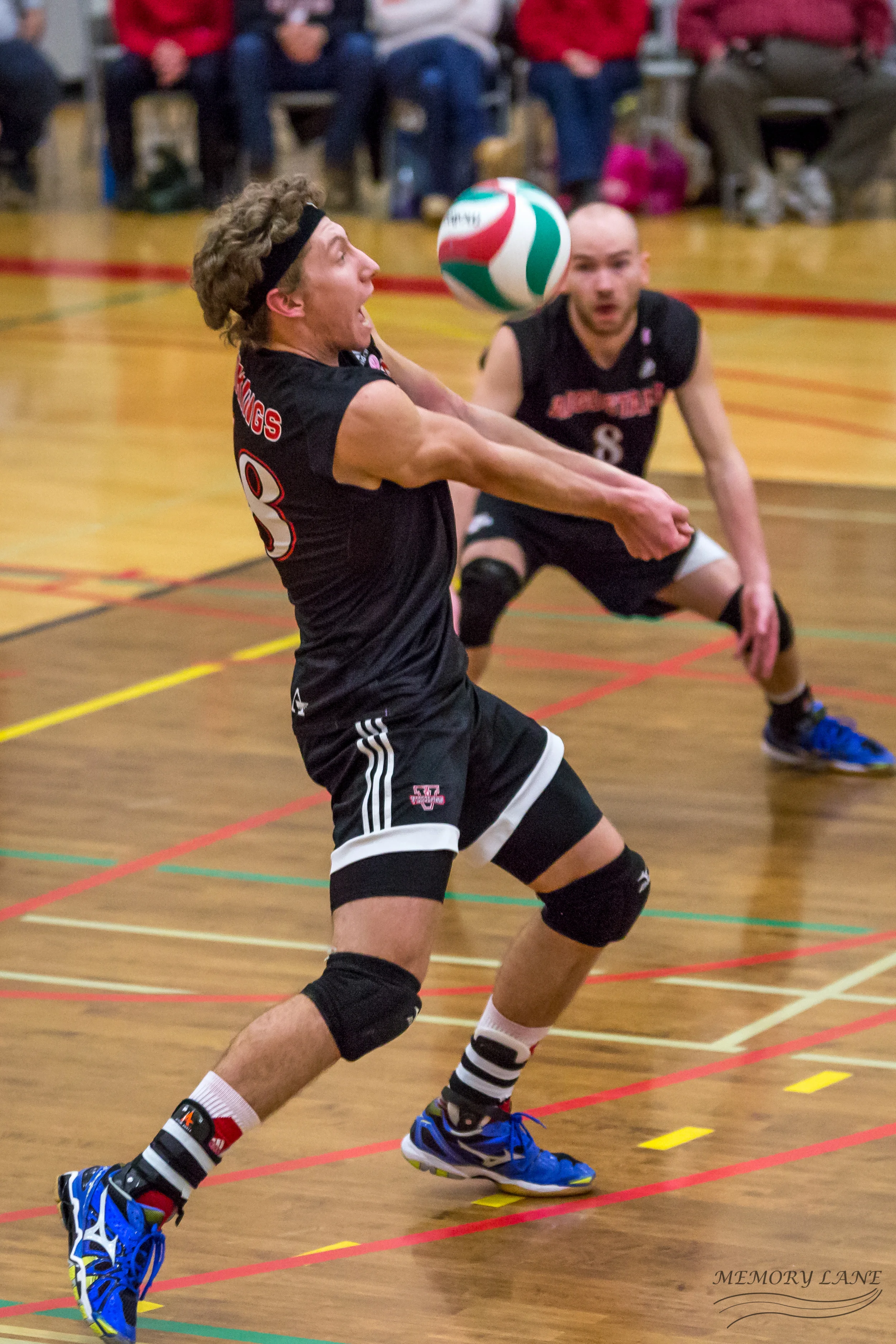 Lane Anderson V-Ball-23.jpg