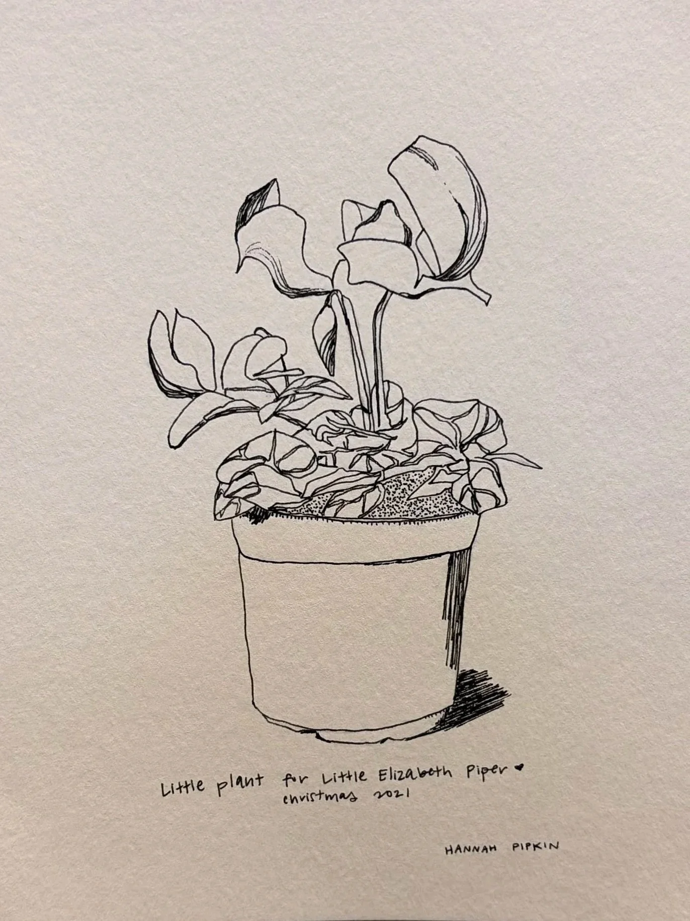 A line drawing of a potted plant with large leaves and flowers, titled "Little plant for Little Elizabeth Piper" with a note "Christmas 2021" and signed by Hannah Pipkin.