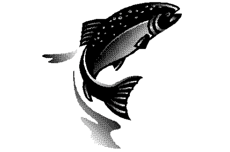 omega3.jpg
