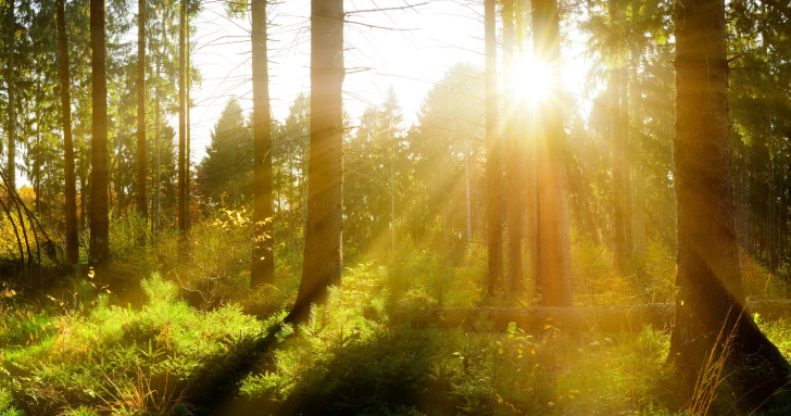 Nominations Open and Early-Bird Tickets on Sale for the 2025 InnovateNB Celebration &amp; Awards 