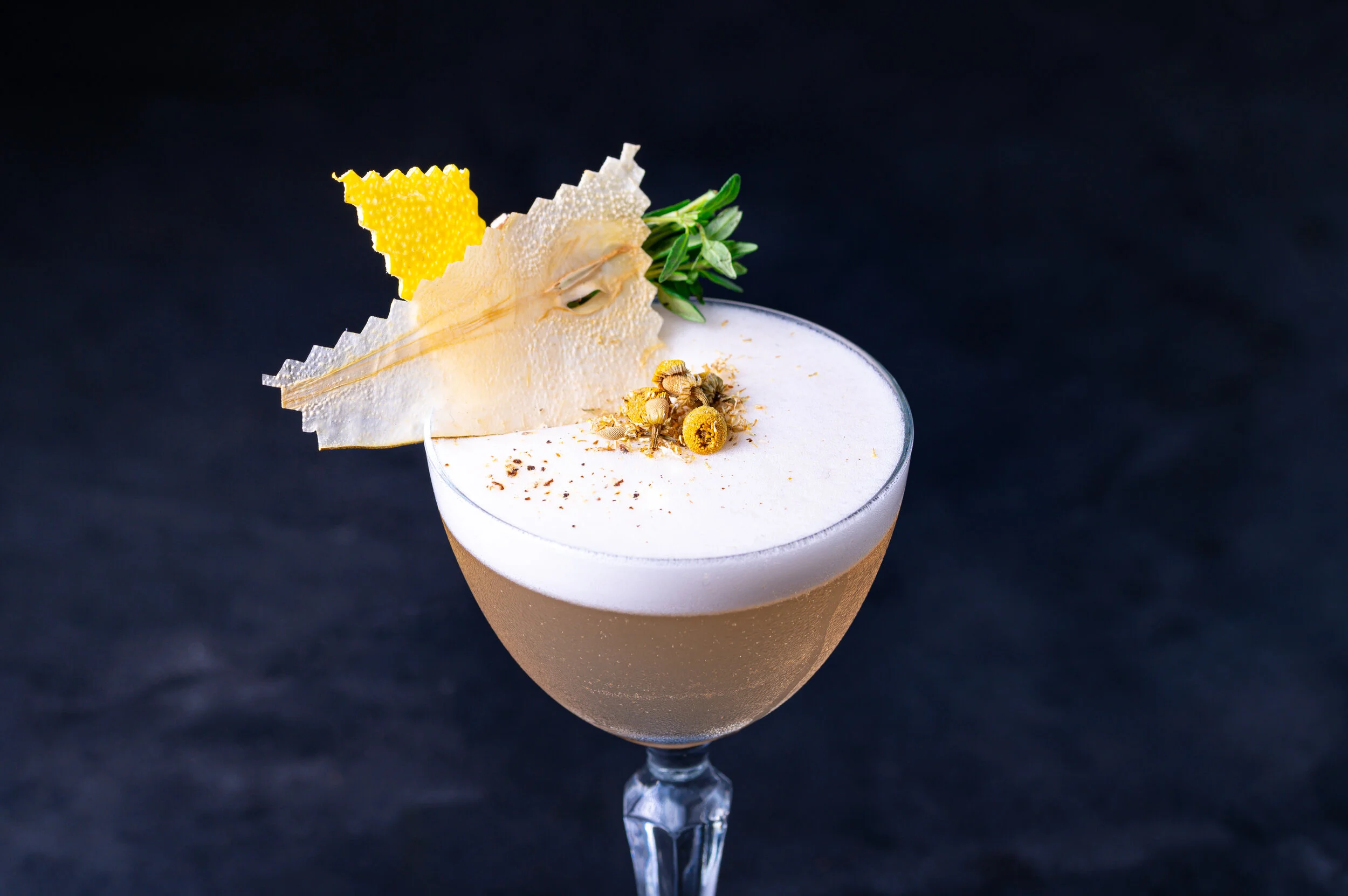 DP Aug 2019 PROG-22.JPG