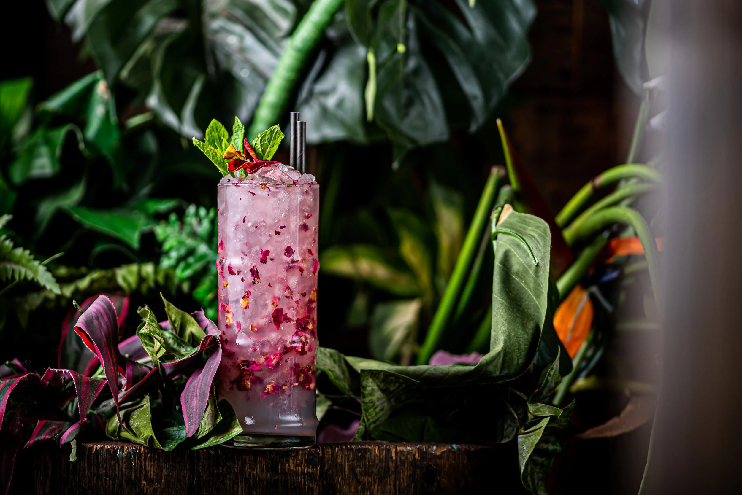 DP Tropicana July 2019-109.JPG