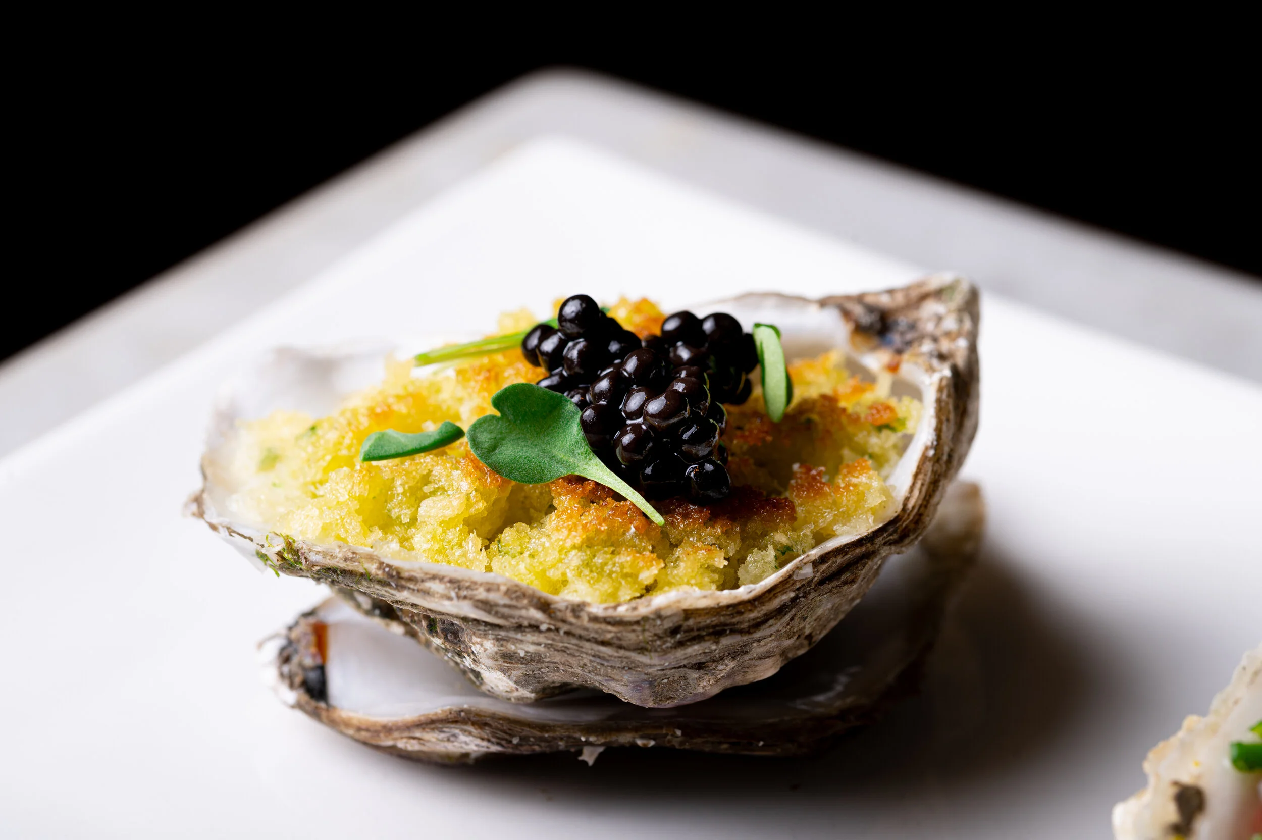 Fishworks Thurs 29th July A1-200.JPG