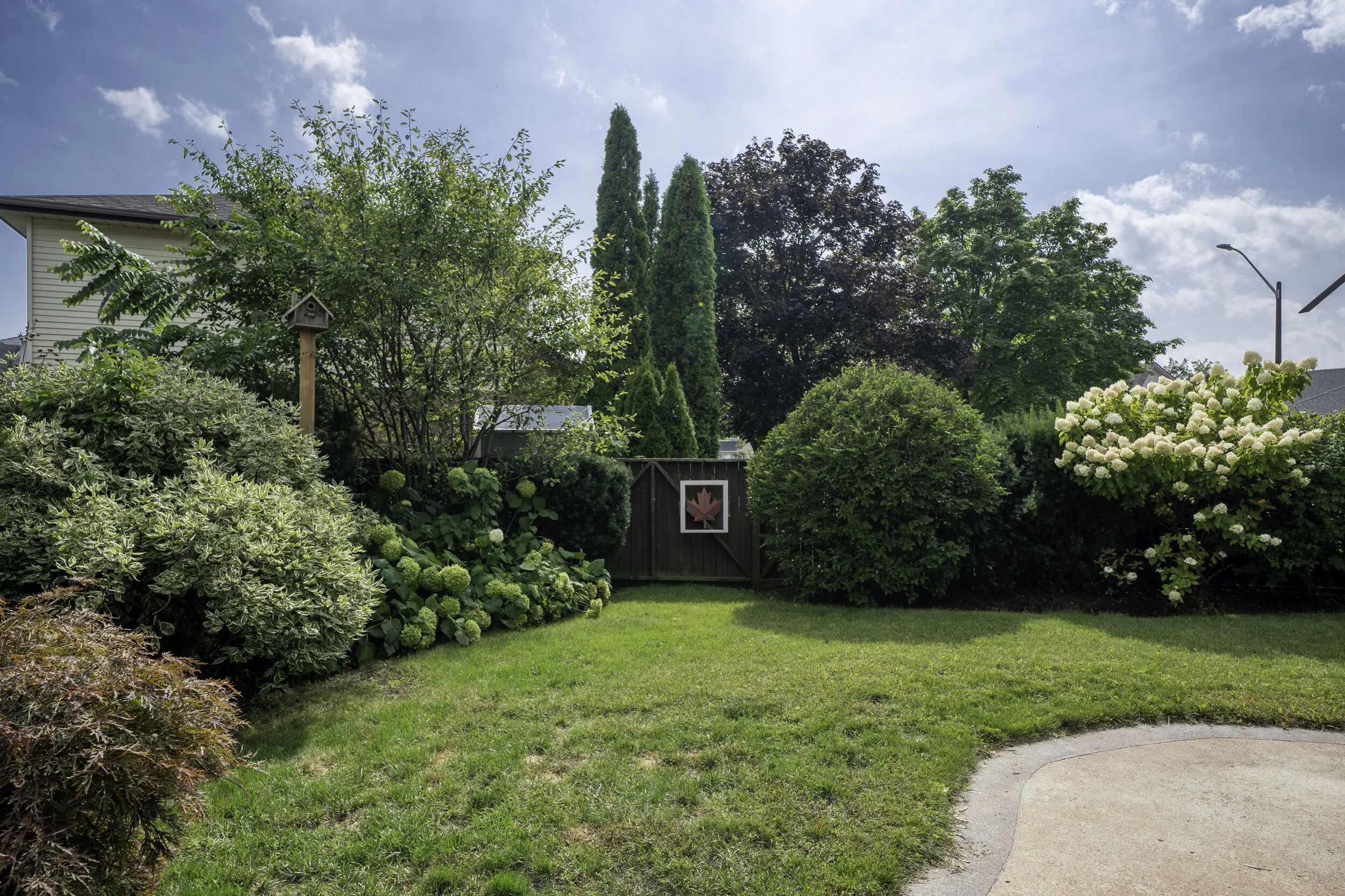 2 Neartic Court - Lunchroom Productions 005.jpg