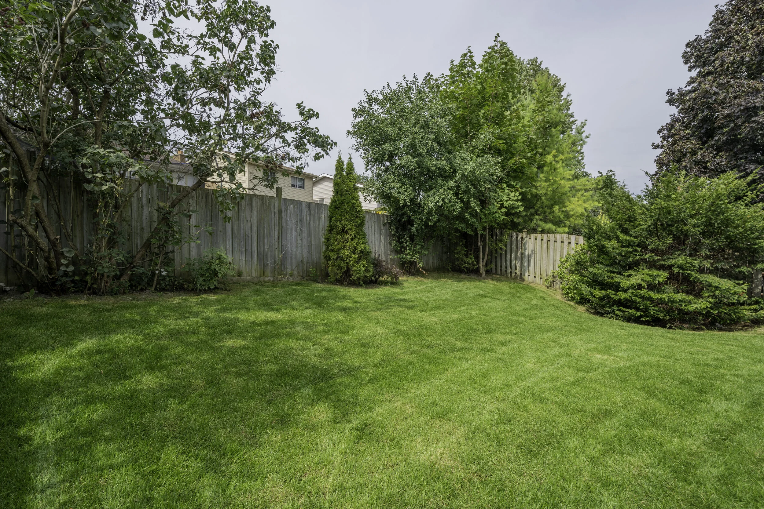 DSC02046-HDR.jpg