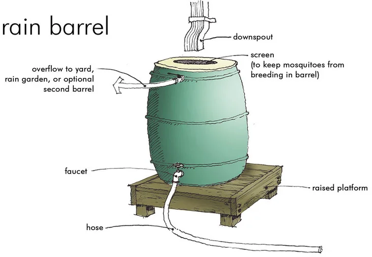 rain barrel drawing.jpg