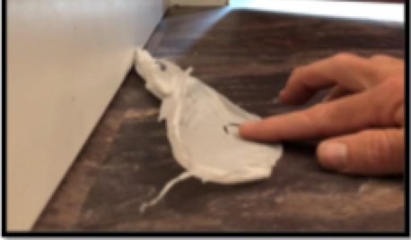The Language of Air Leakage
