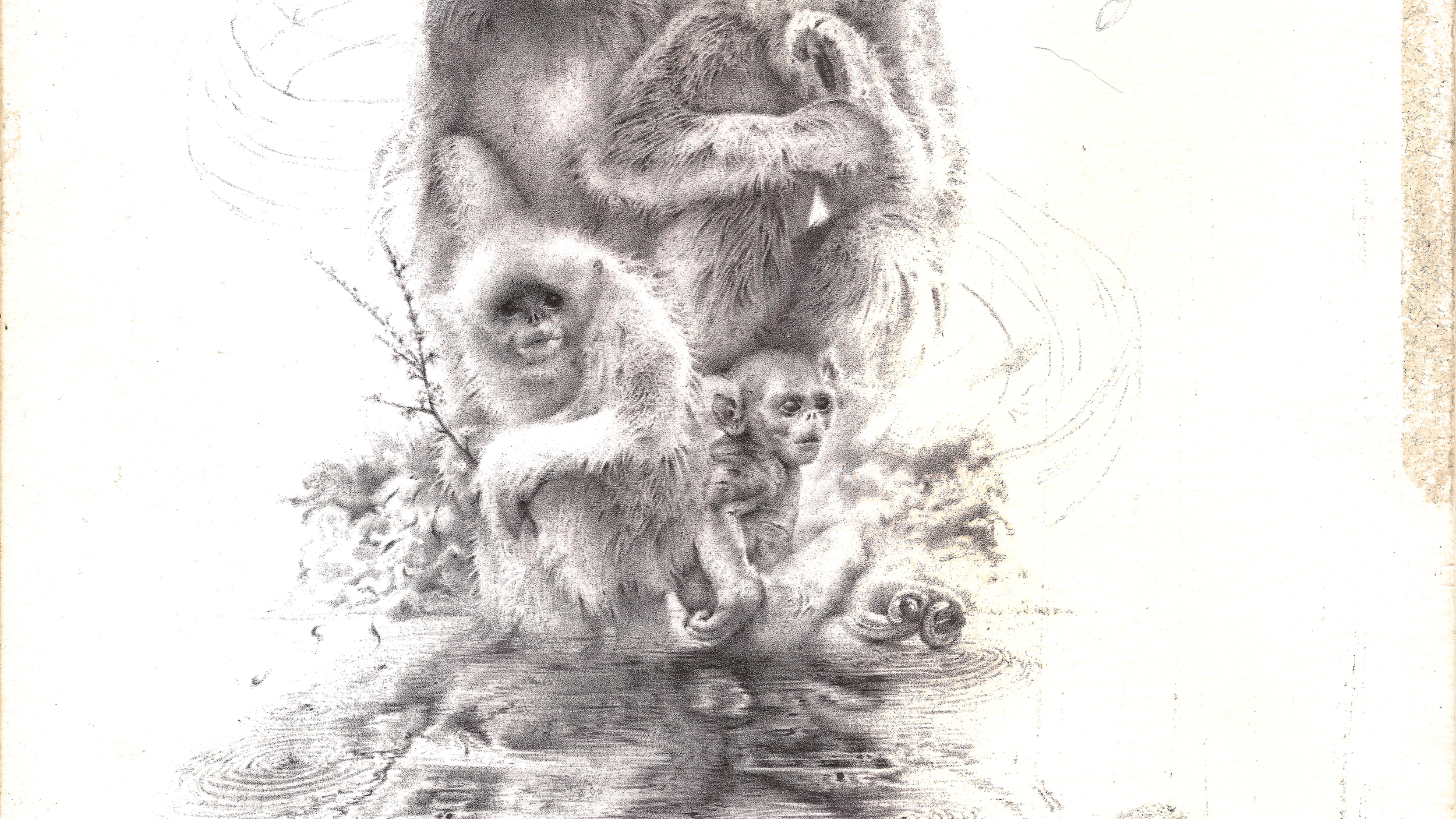 'Year of the Monkey' Detail 02