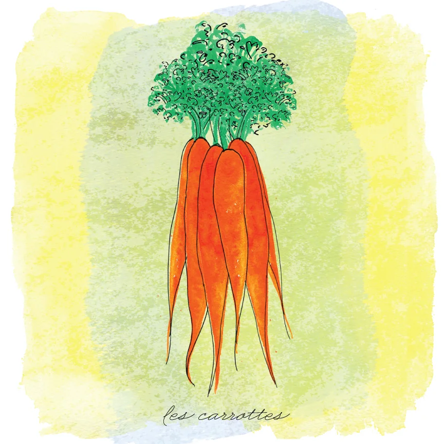 les carrottes