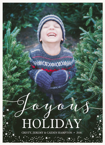 Joyous Holiday photo card