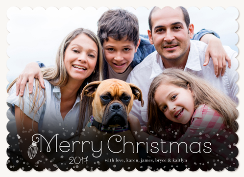 Gentle Snowfall Christmas photo card