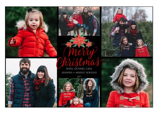 Poinsettia Merry photo card