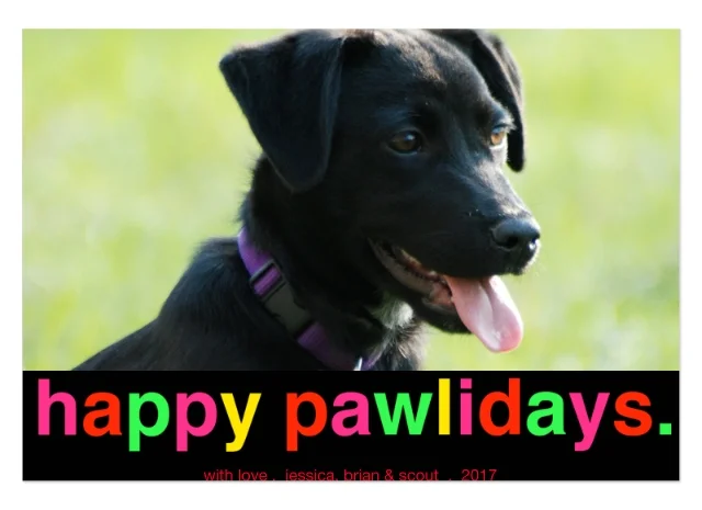 Happy Pawlidays photo card