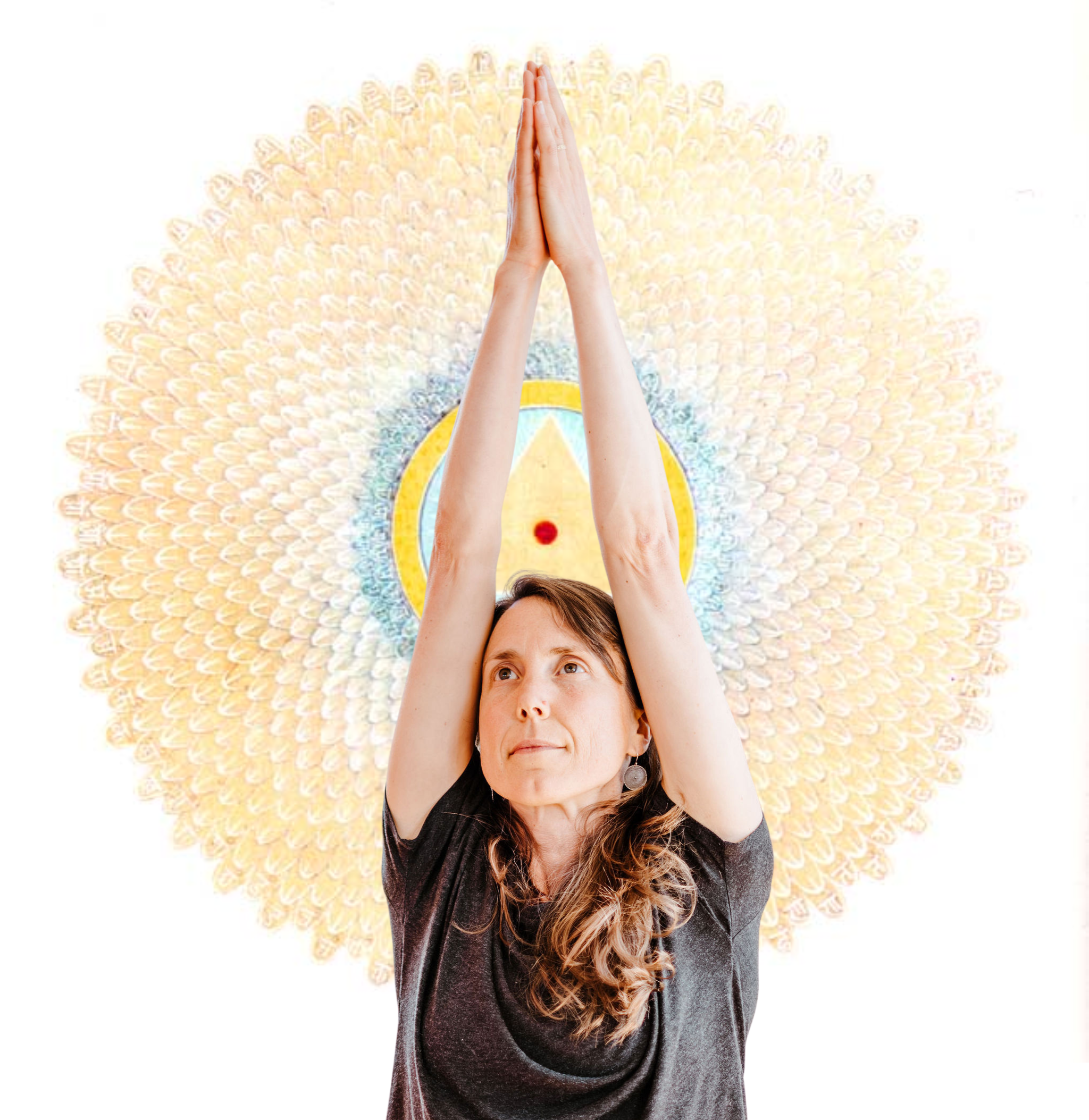 Sun Salutation Workshop