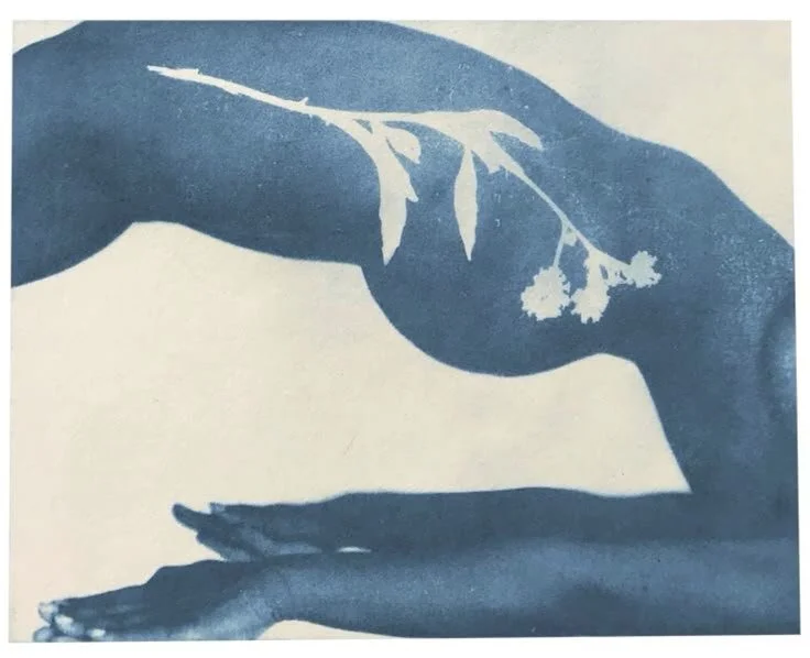 The Aromatic Journey of Prana