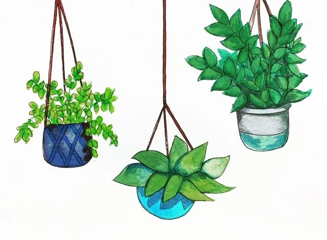 IF ONLY I COULD KEEP THEM ALIVE