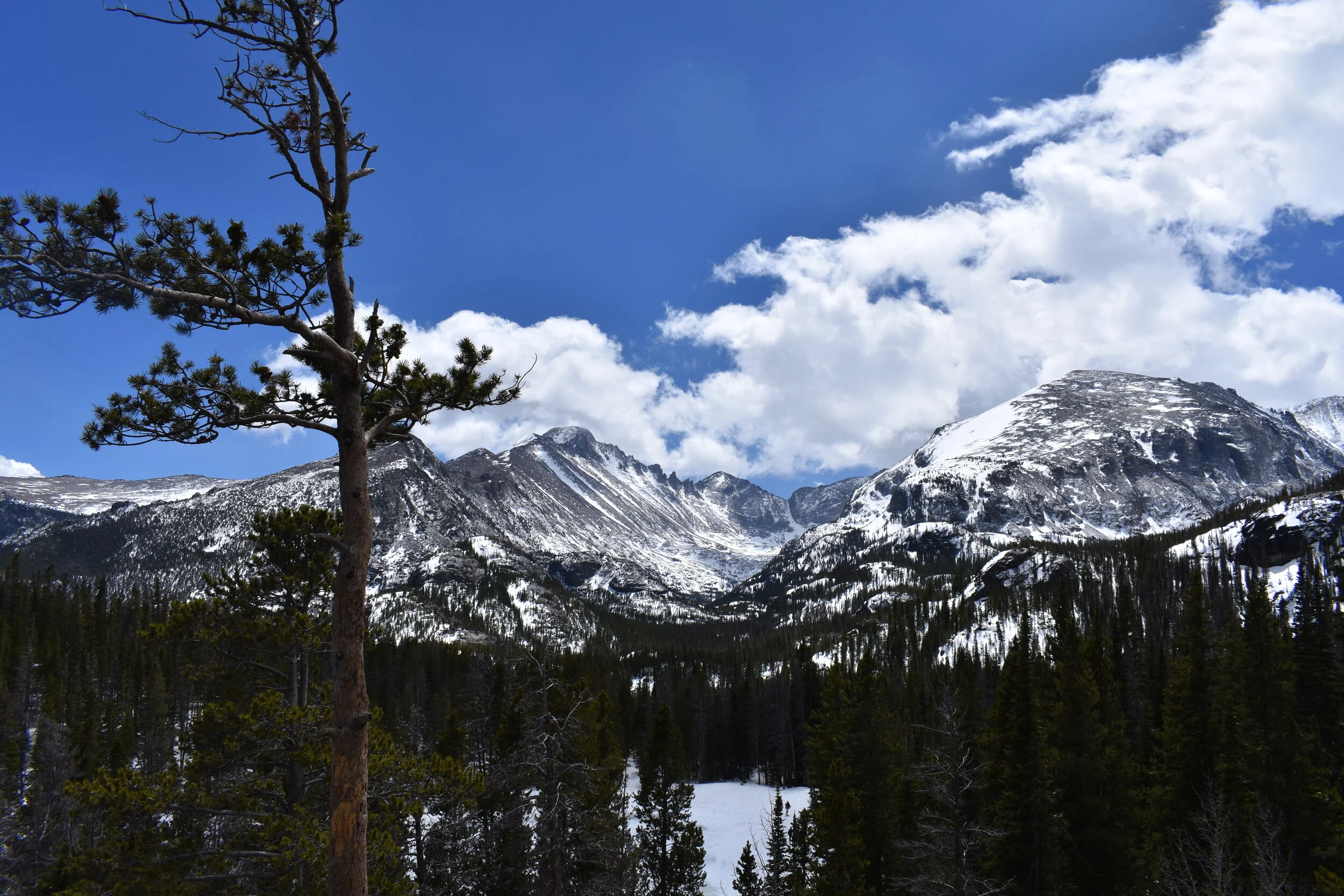 DSC_0078.JPG