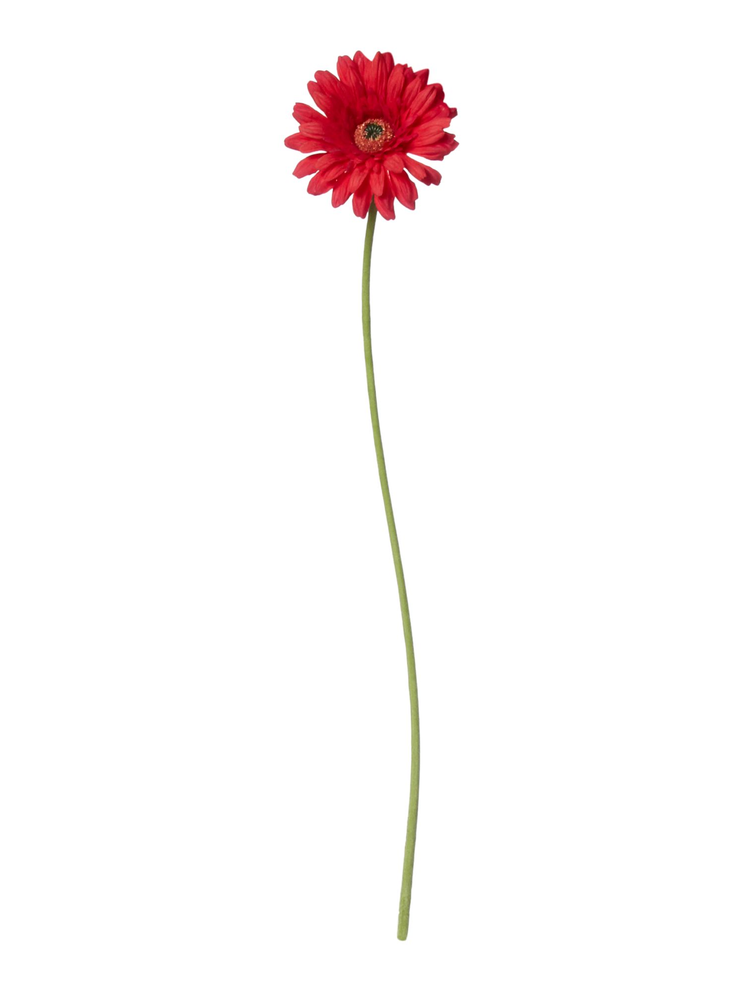 Mother’s can drop by and receive a free flower compliments of Sharon Maharaj on: Saturday May 9th Between 10-12p.m. 91 Lakeshore Road East Mississauga, ON L5G 1E2 Sign up to our newsletters before Saturday May 9th and reserve your flower for pick up. While quantities last.