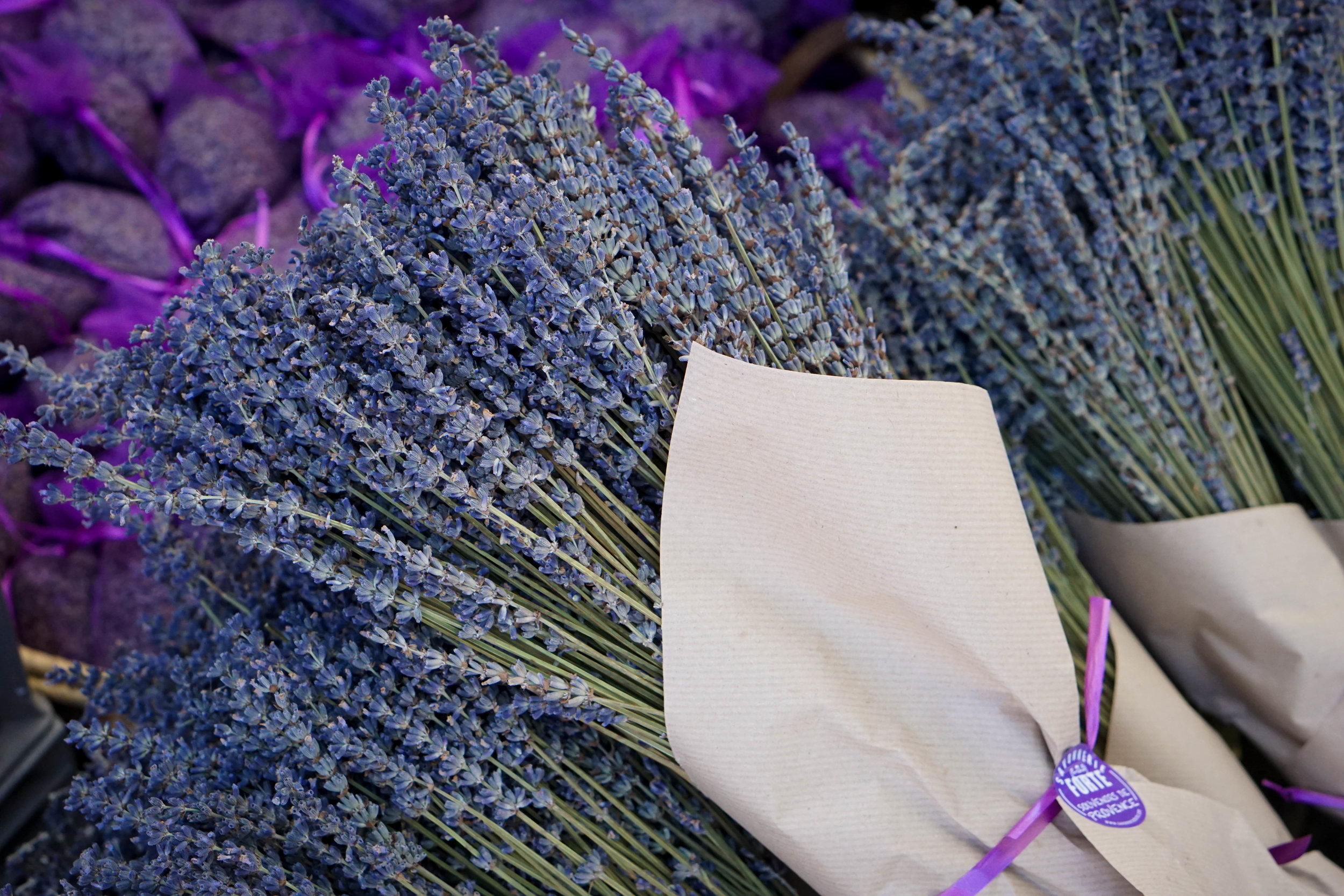 Lavender at the Apt Lavender Festival. 
