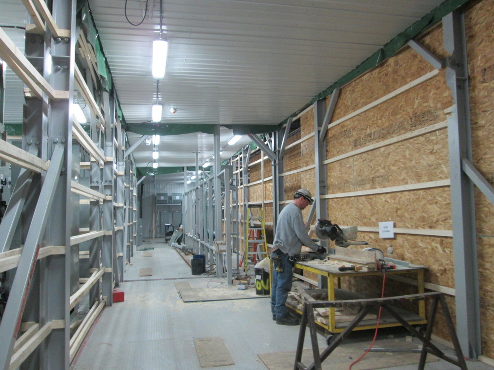 ASSEMBLAGE+SITE+2+-2015-02-05+-P10074A05+(3).jpg