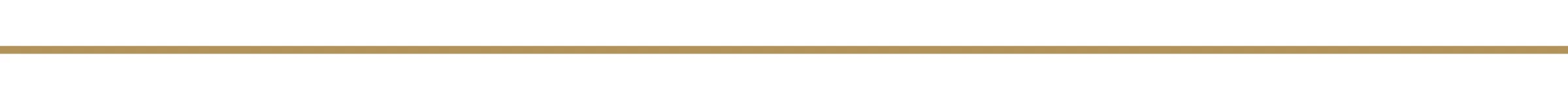Mentoring&Workshops-2.jpg
